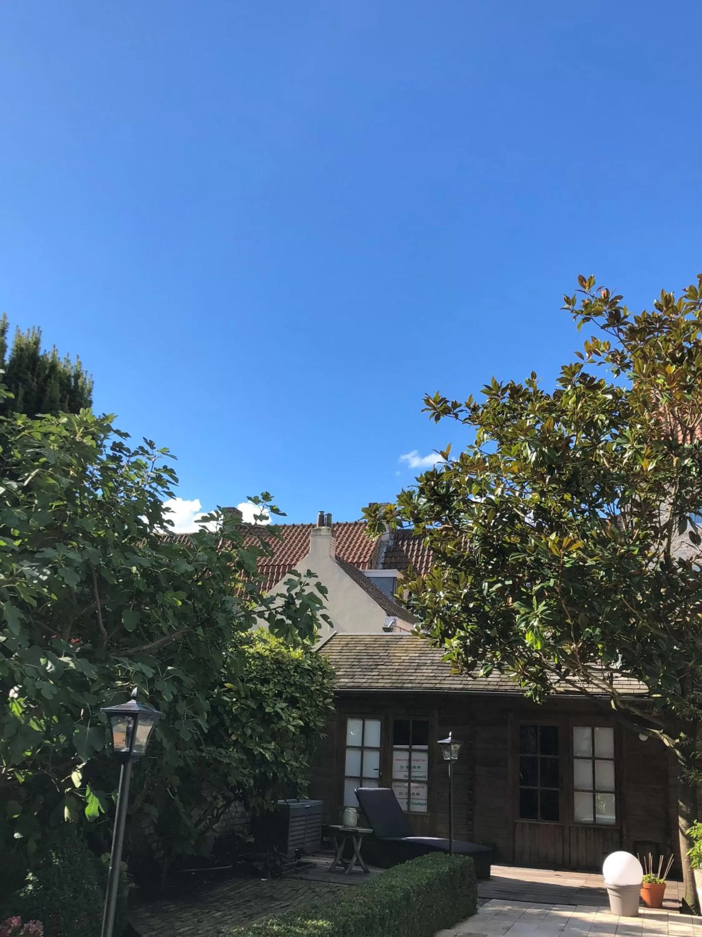 Balcony/Terrace in B&B Coupure