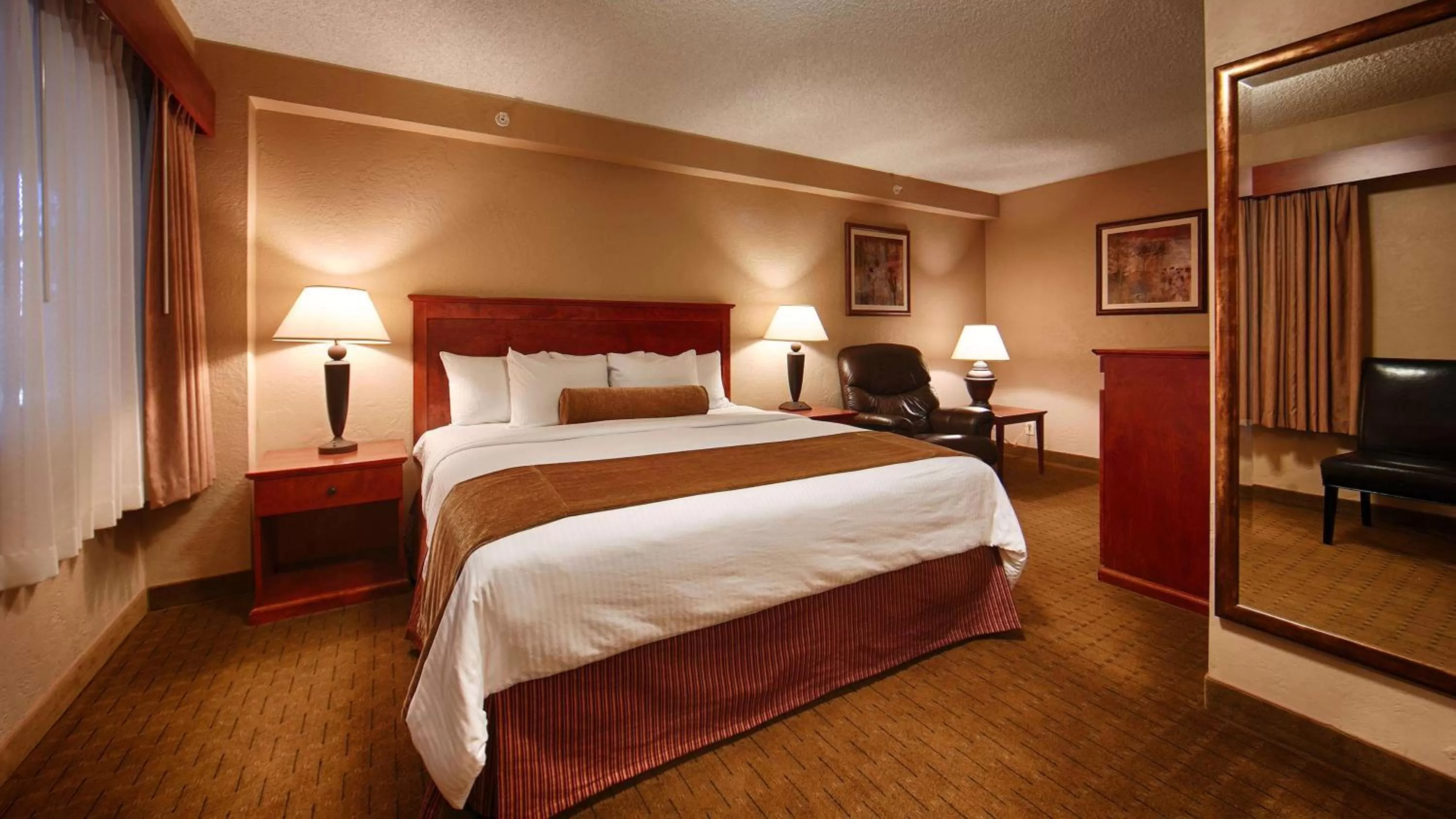 King Room with Roll-In Shower - Disability Access in Best Western Vista Inn at the Airport