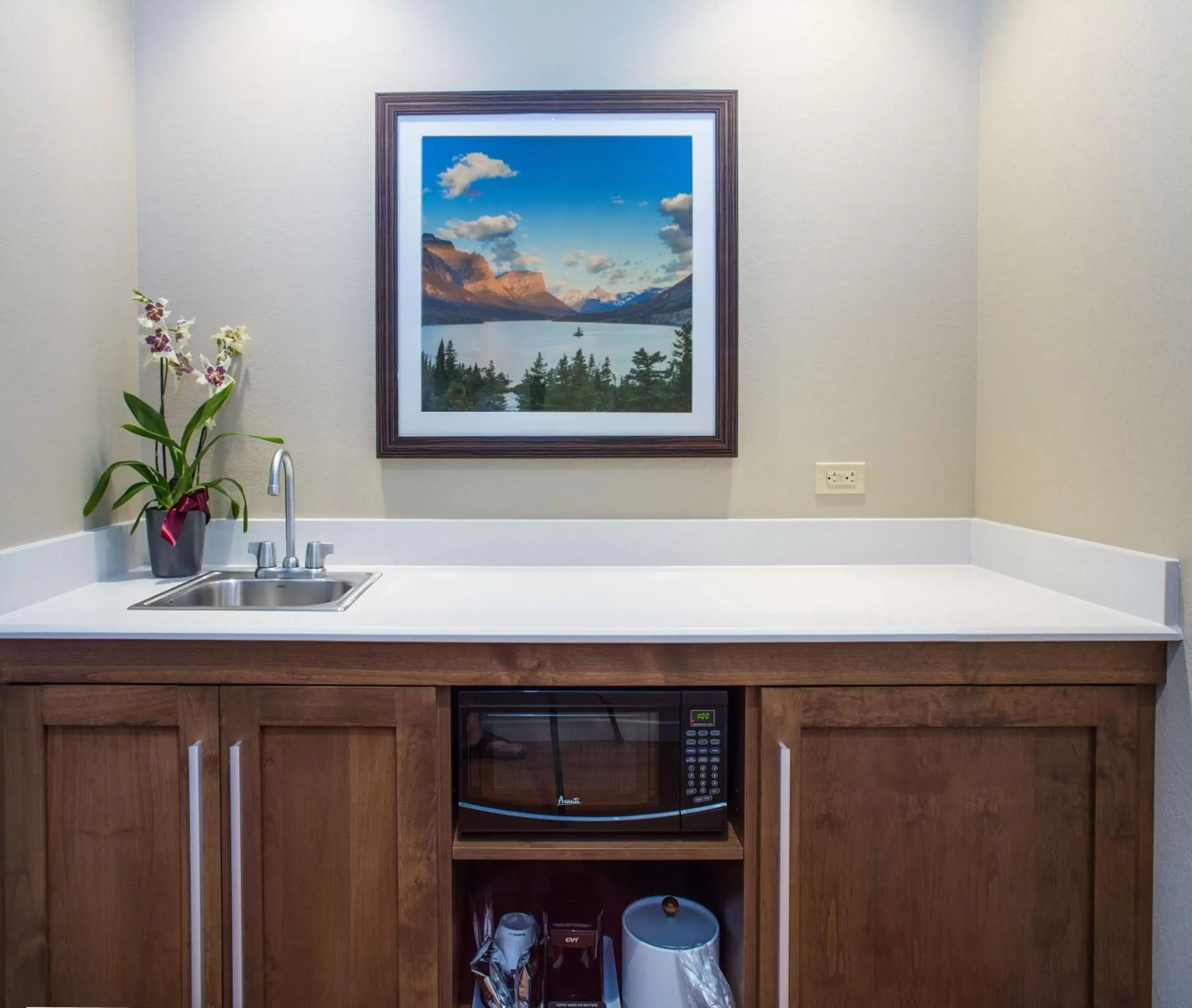 Kitchen or kitchenette, Bathroom in Hampton Inn & Suites Whitefish