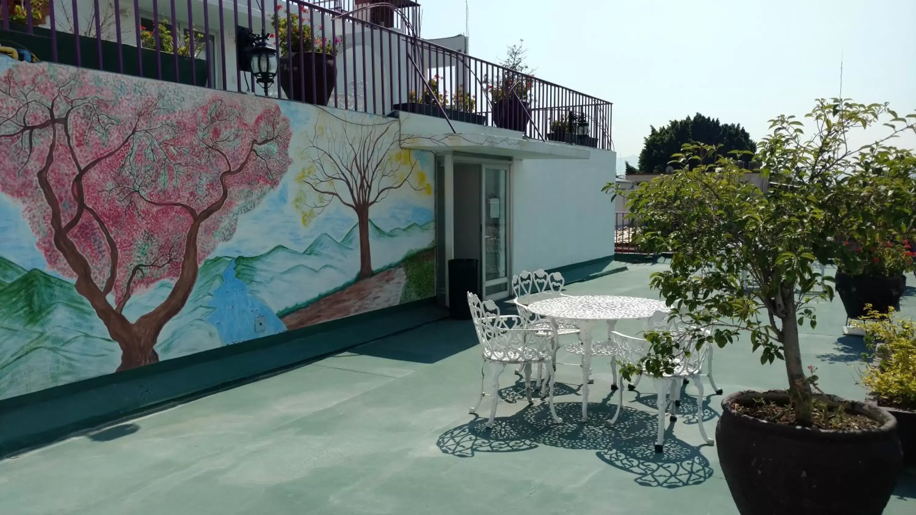 Balcony/Terrace in Hotel Aurora