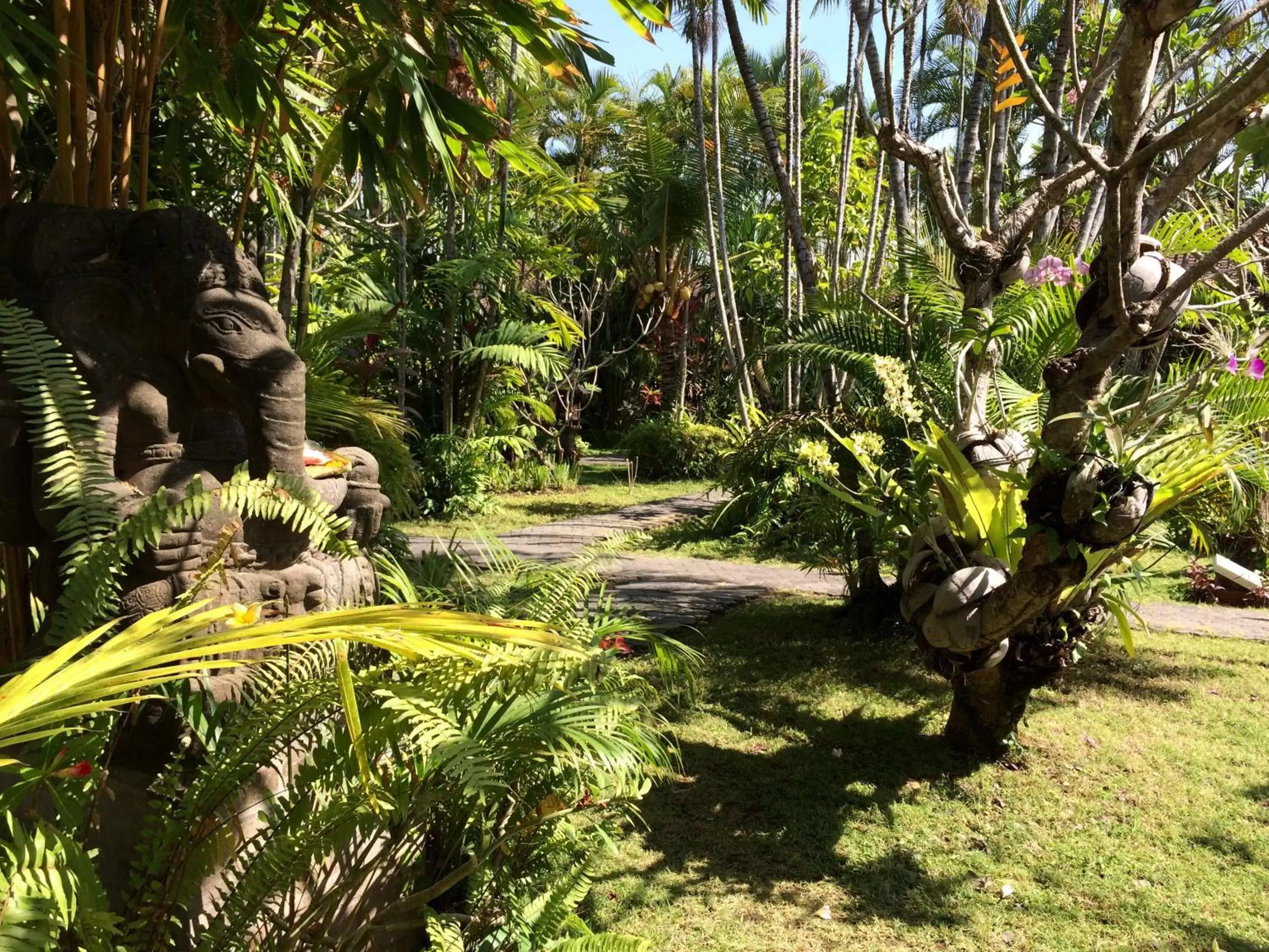 Bumi Ayu Bungalow Sanur Bumi Ayu Bungalow Sanur