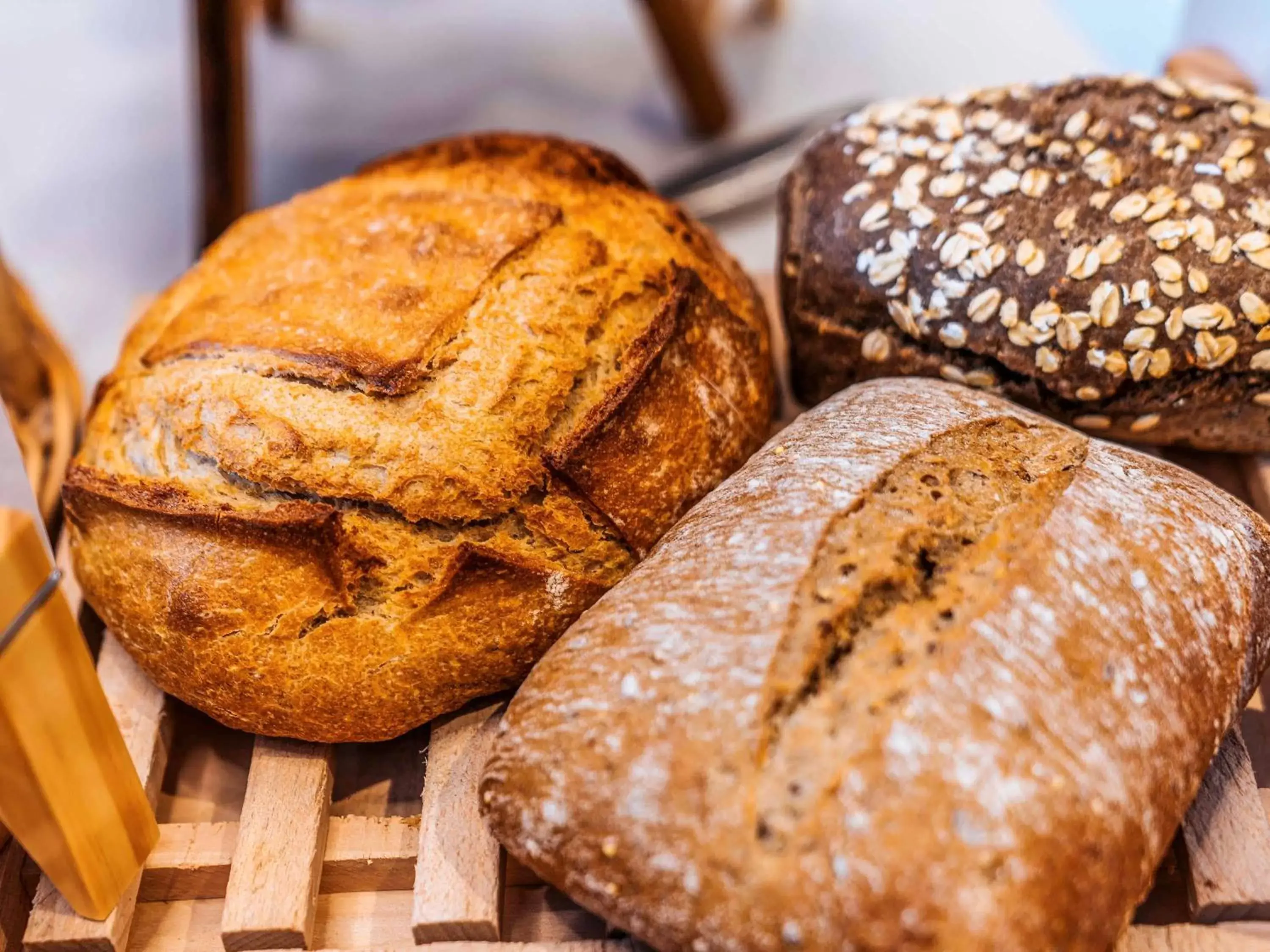 Restaurant/places to eat in ibis Styles Antibes Restaurant/places to eat in ibis Styles Antibes