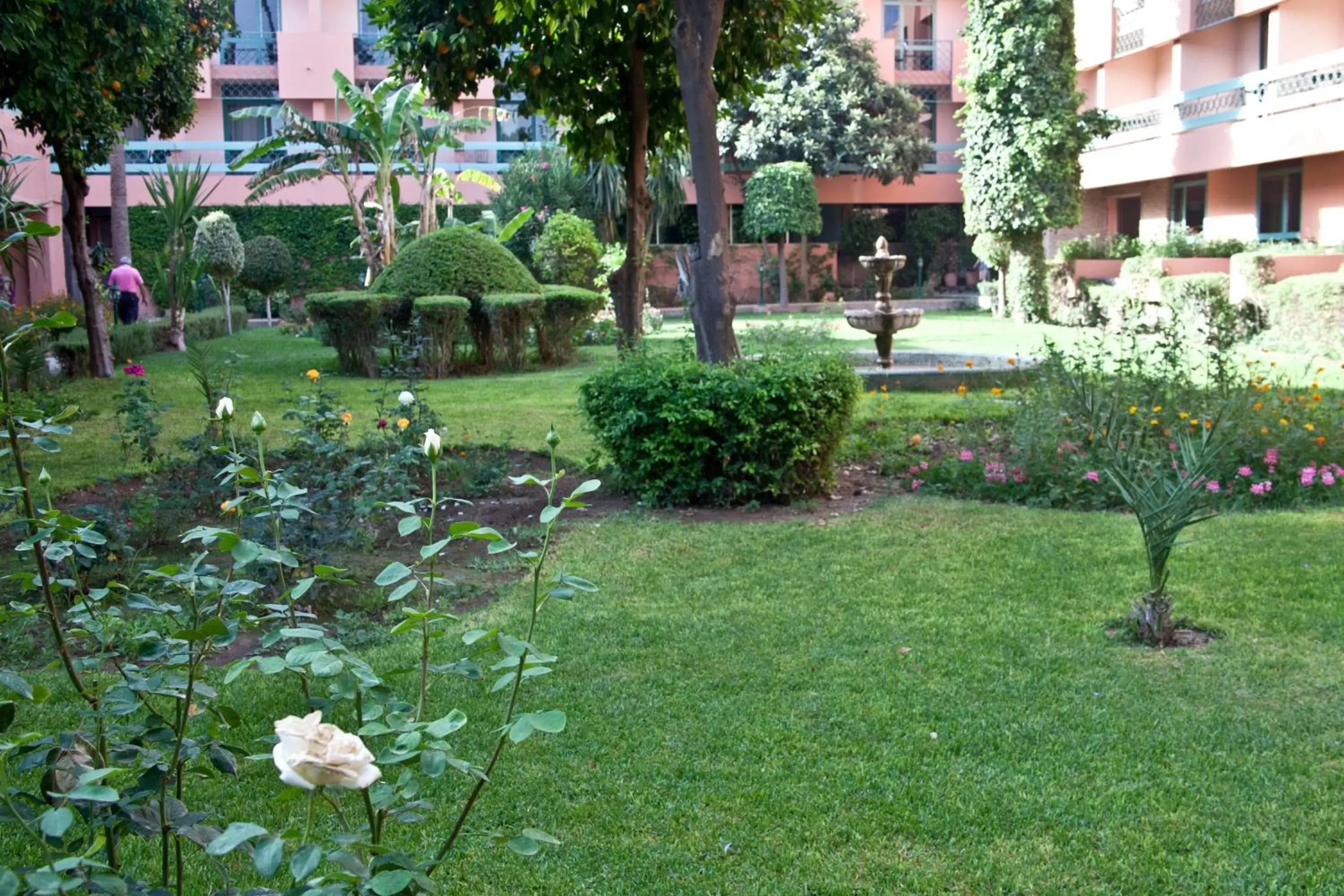 Garden in Chems Hotel