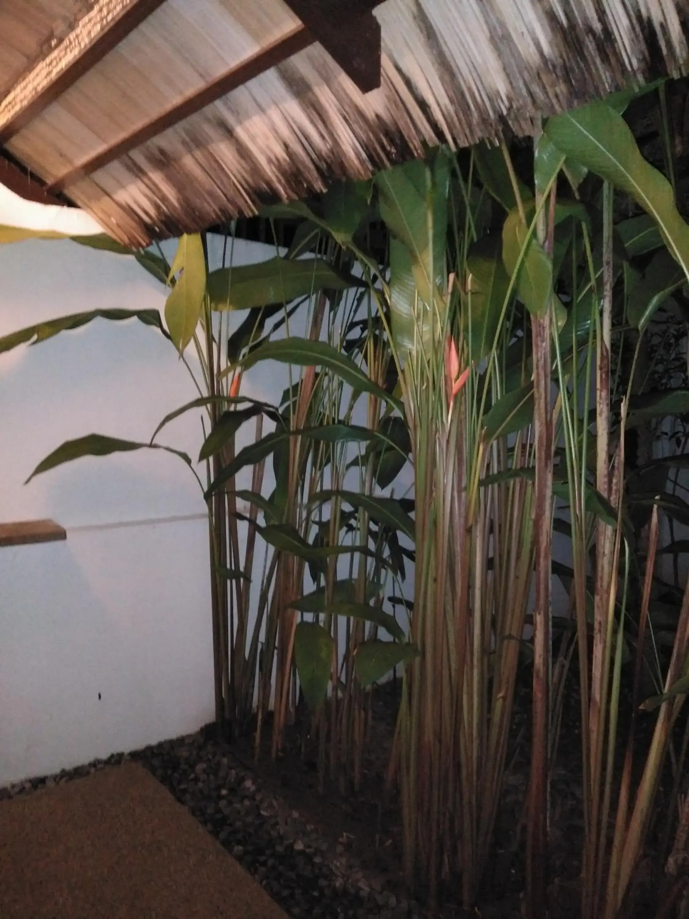 Bathroom in Villa Kalachuchi V.K