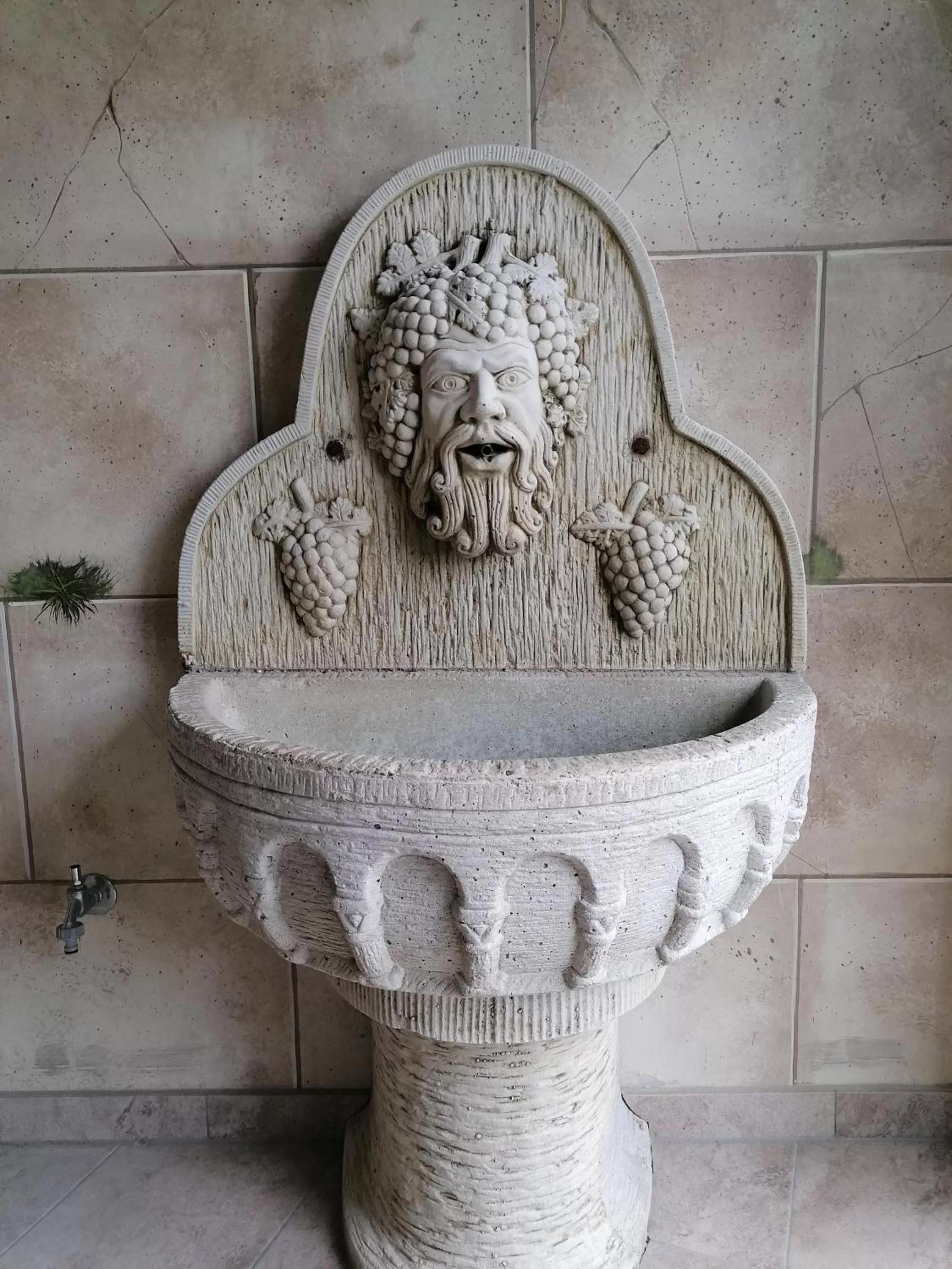 Garden in Moselromantik Hotel Am Panoramabogen