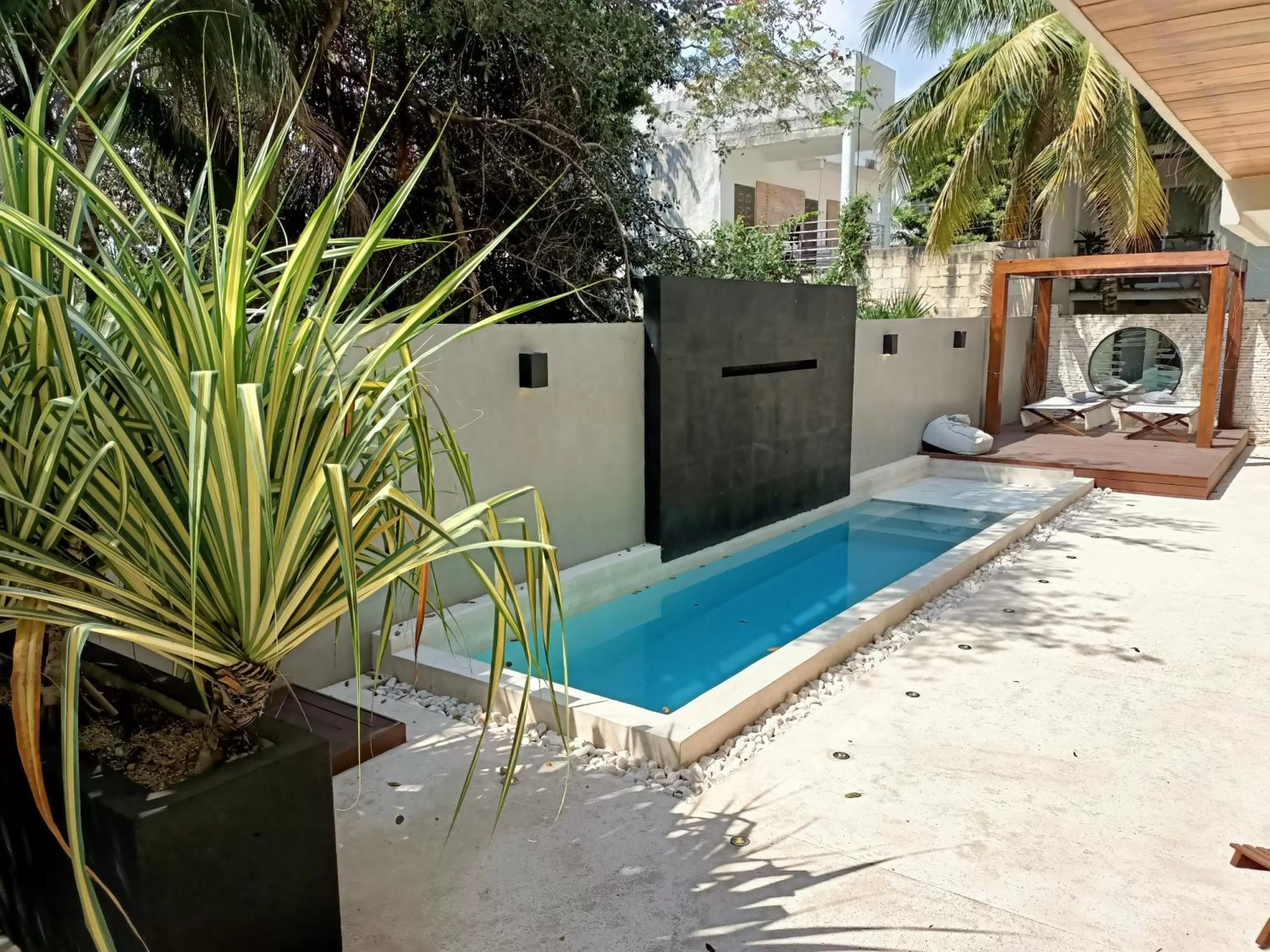 Swimming pool in BT Rooms Tulum