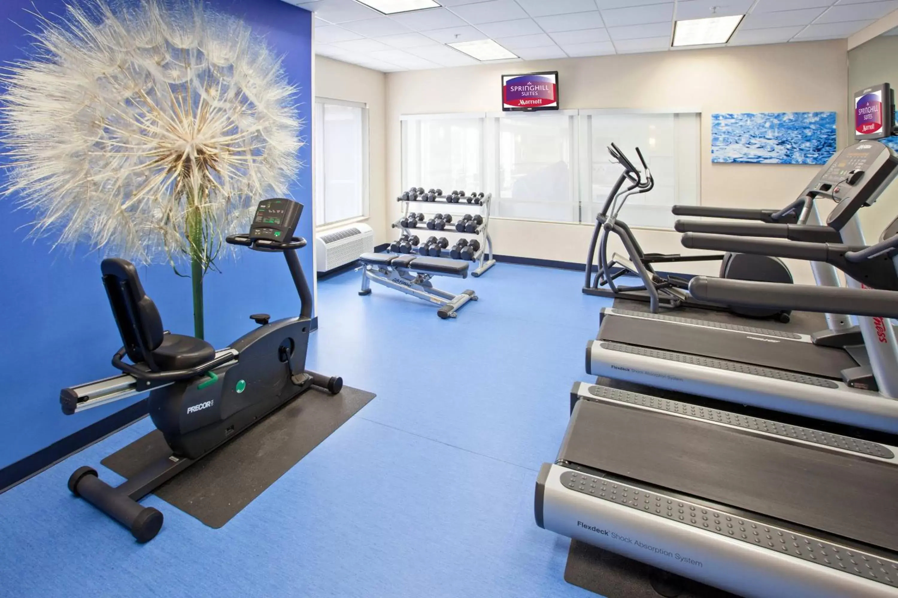 Fitness centre/facilities, Fitness Center/Facilities in SpringHill Suites Indianapolis Carmel
