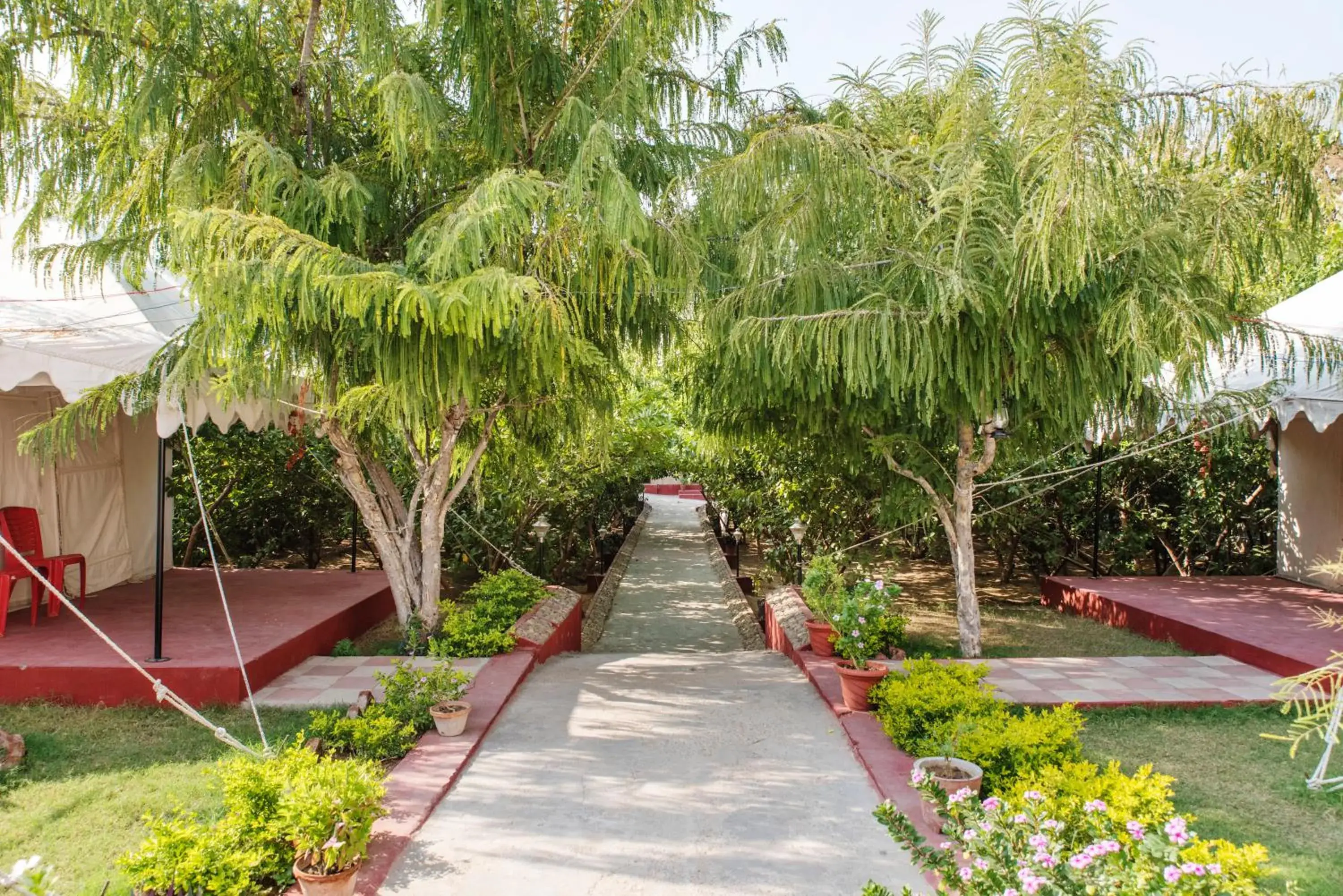 Garden view in Ranthambhore National Resort