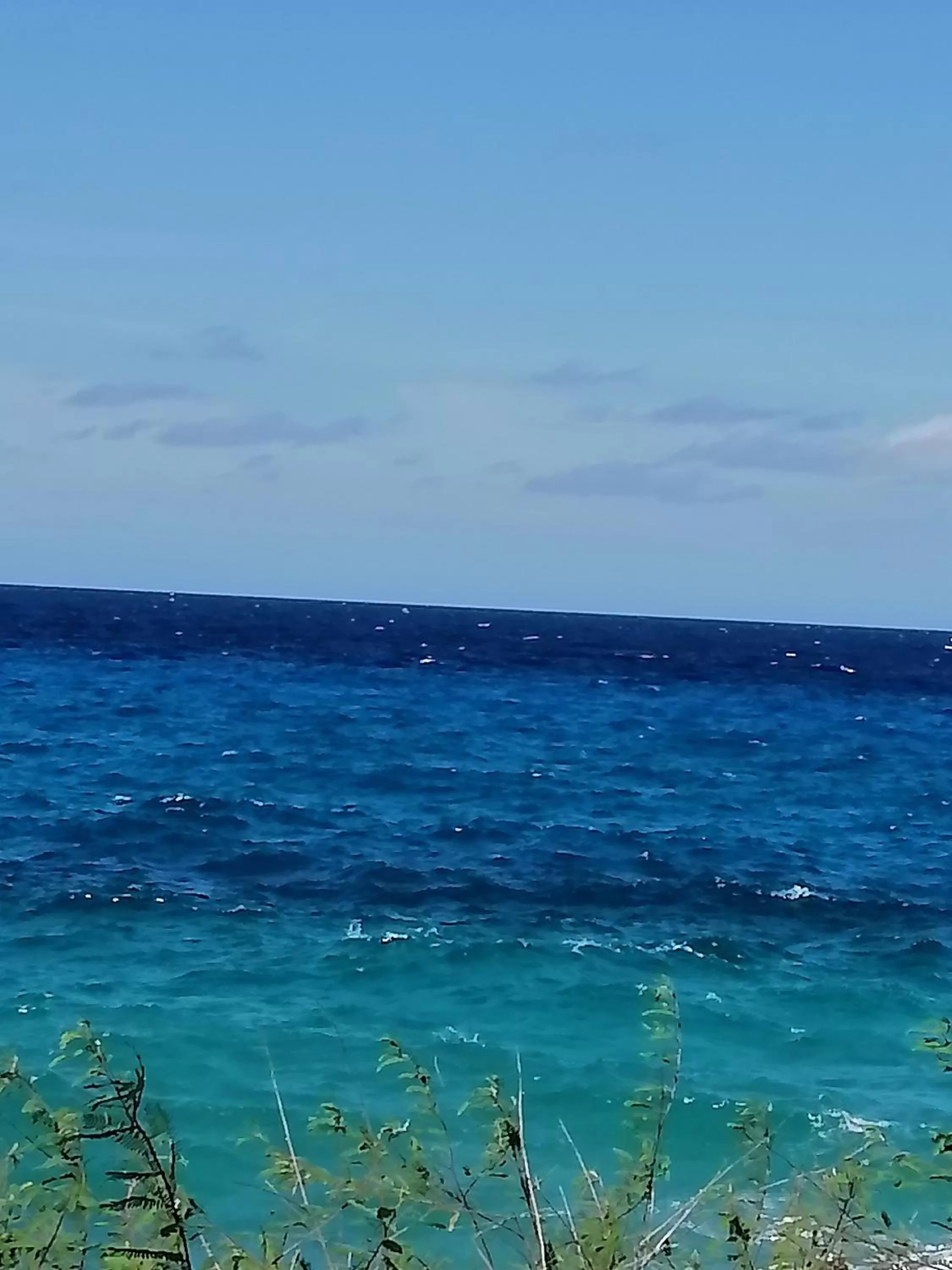 Natural landscape in Casa Royal Palm Inn