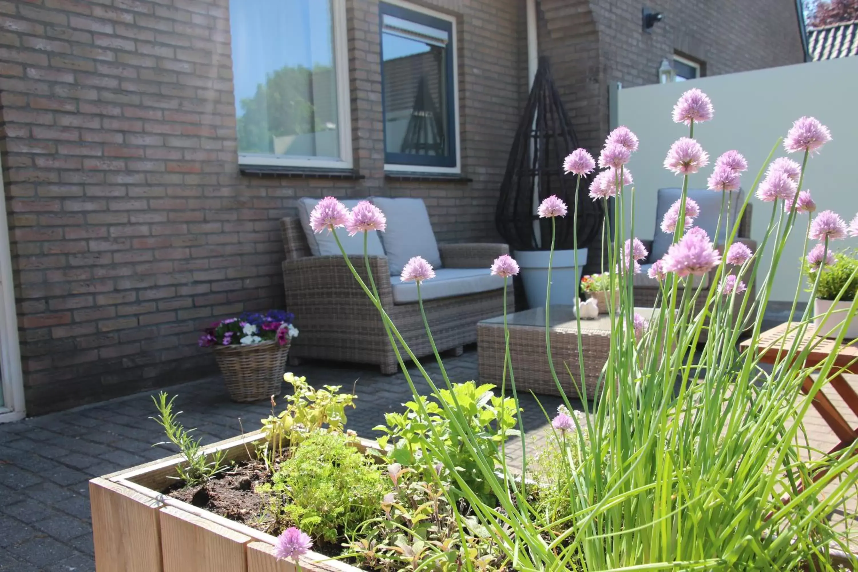 Garden in B & B Janneke Elsloo Friesland