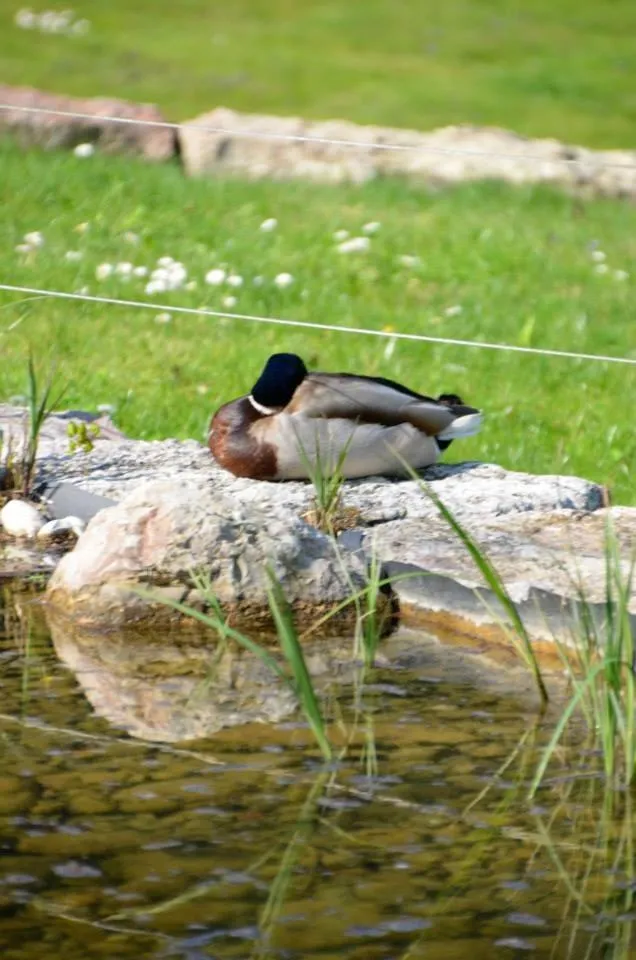 Day in Bad Schauenburg