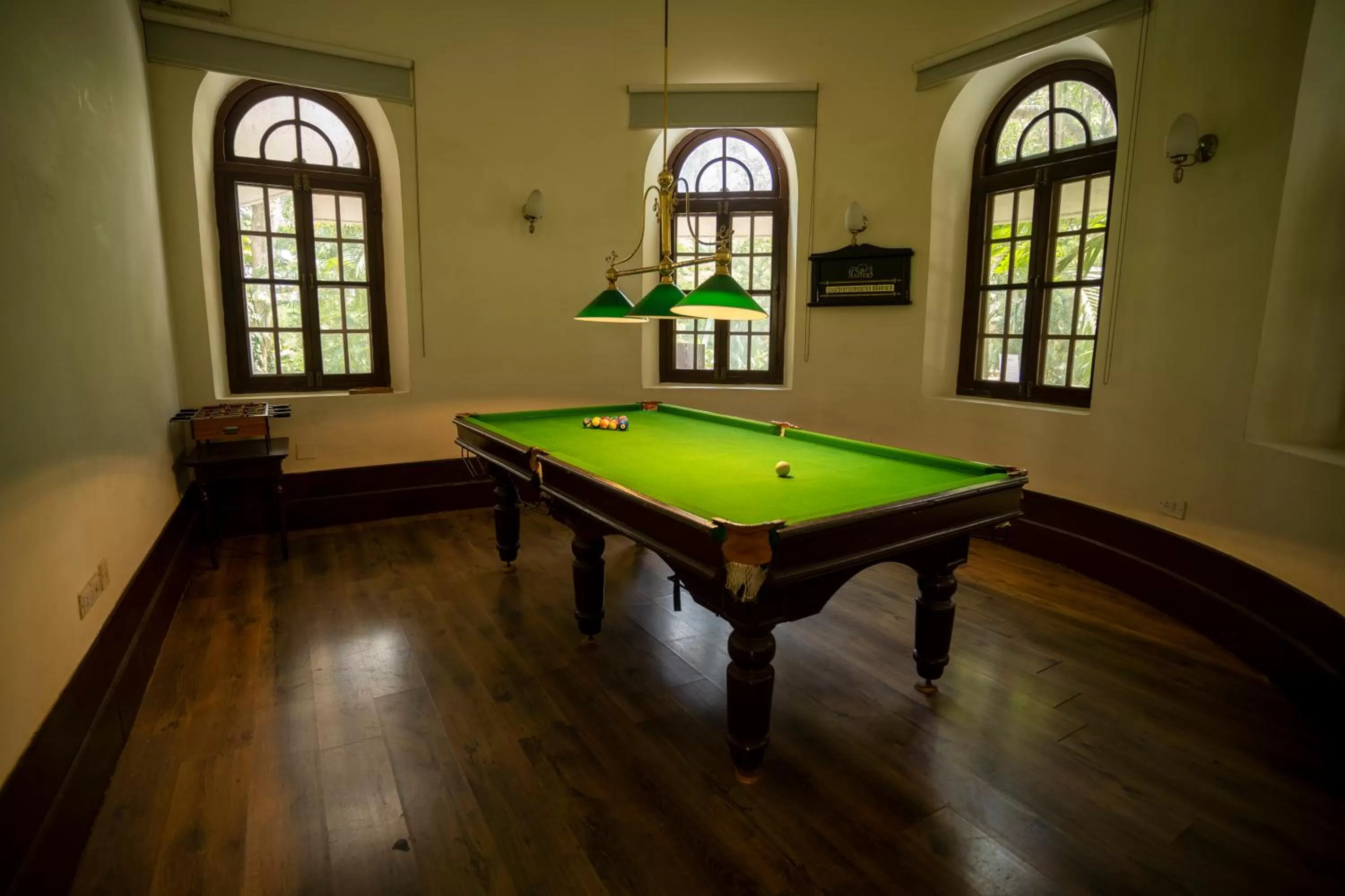 Billiard in Royal Orchid Brindavan Garden Mysore