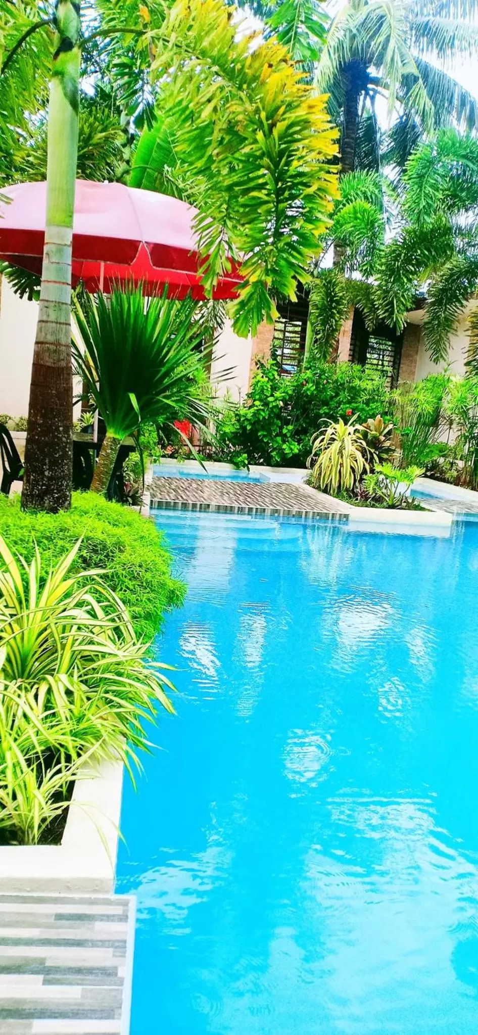 Swimming pool in Softstone resort