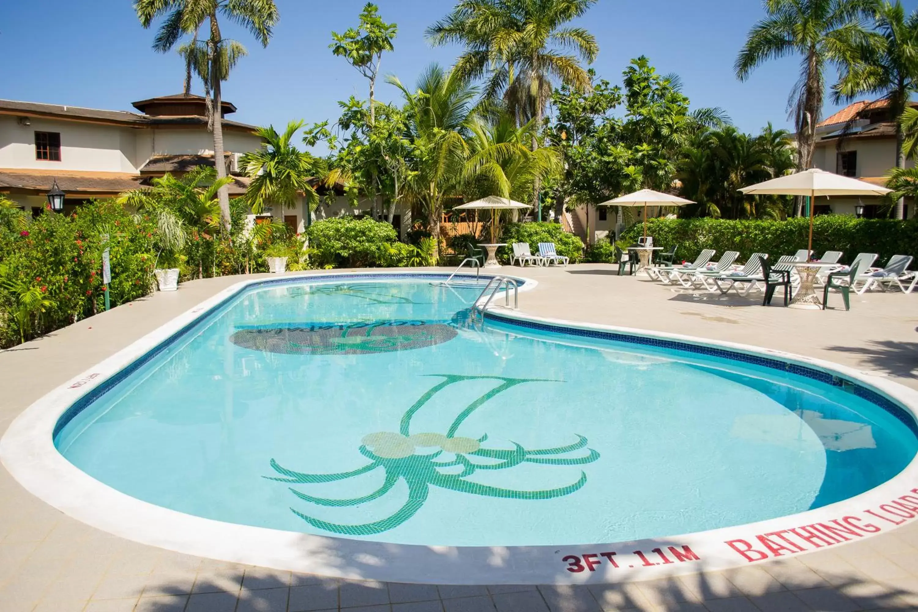 Swimming Pool in Coco La Palm