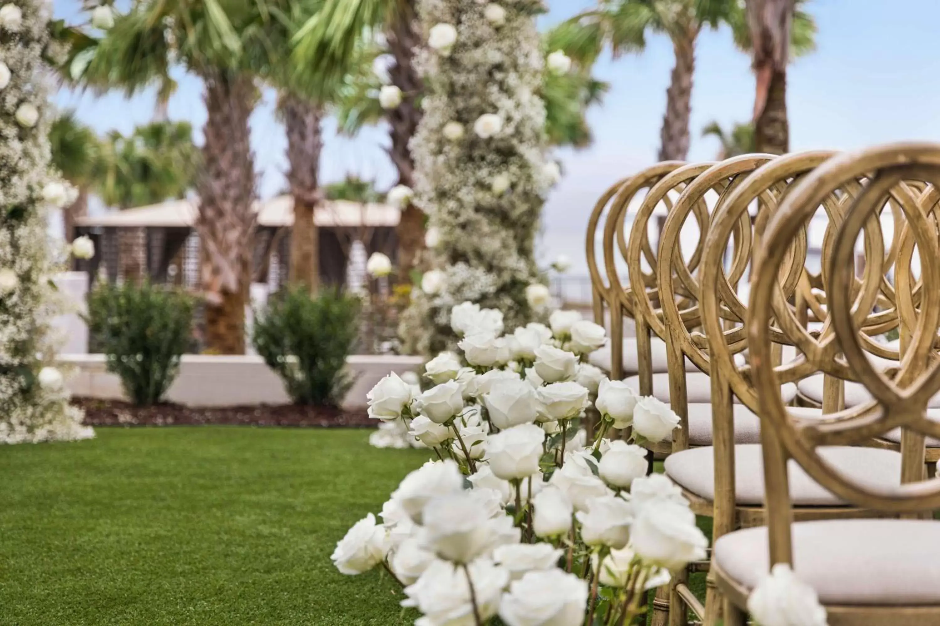 Garden in Embassy Suites by Hilton Myrtle Beach Oceanfront Resort