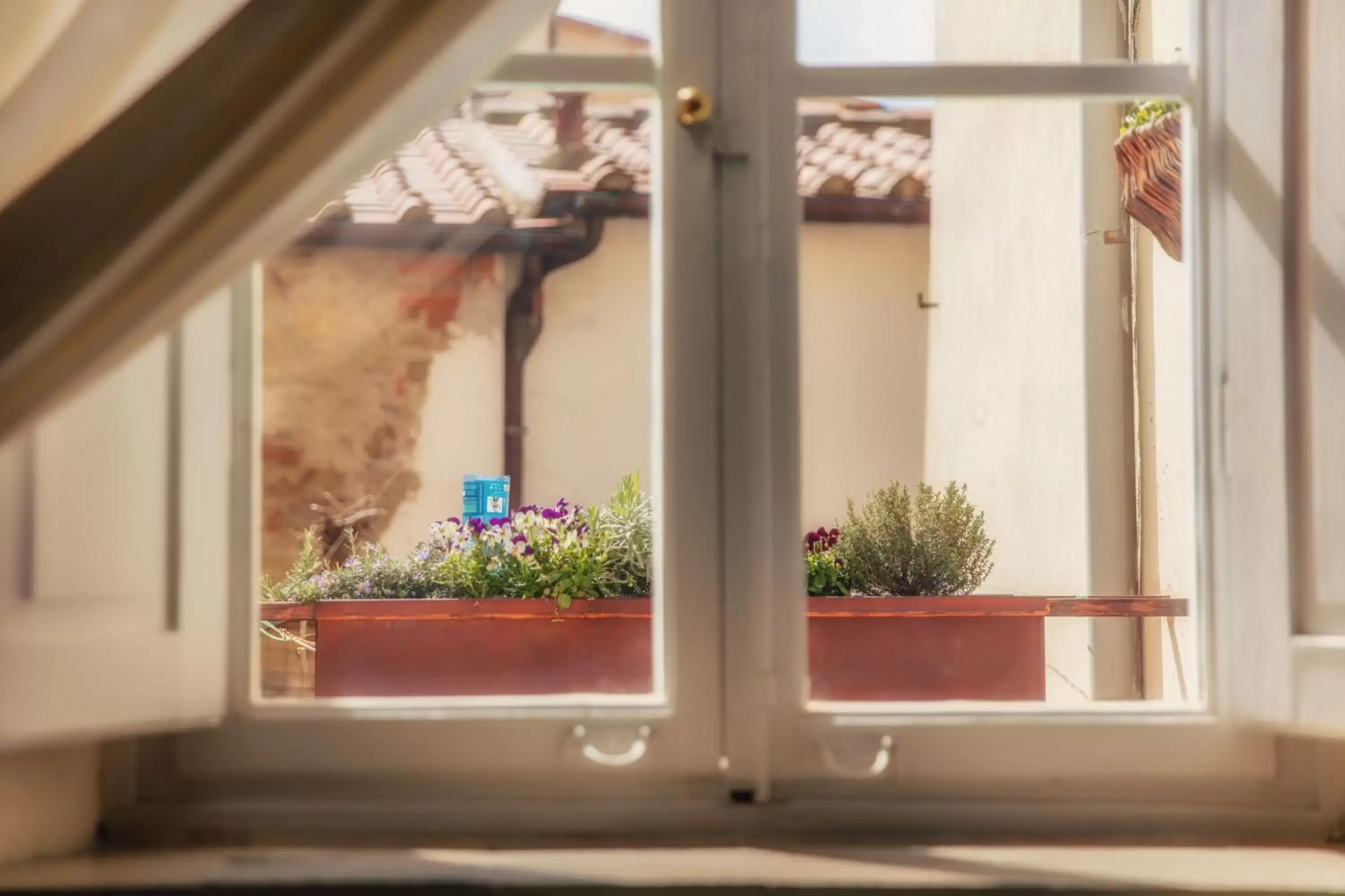 Inner courtyard view in Ghibellino B&B