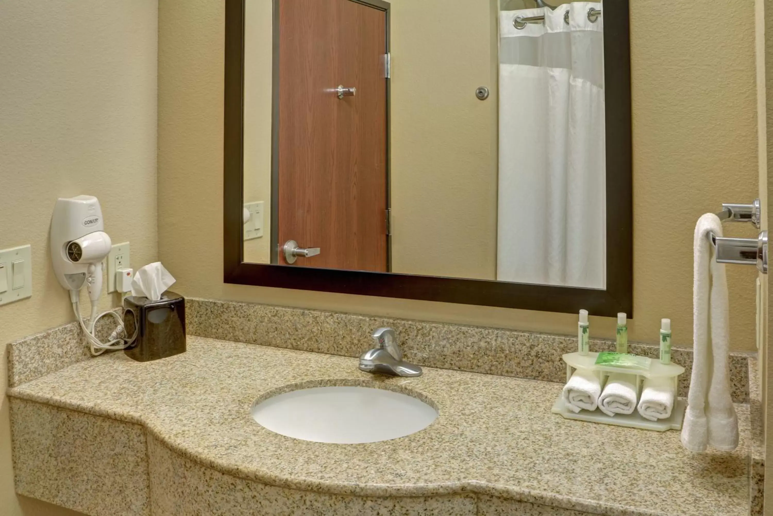Photo of the whole room, Bathroom in Holiday Inn Express Hotel & Suites Texarkana East, an IHG Hotel