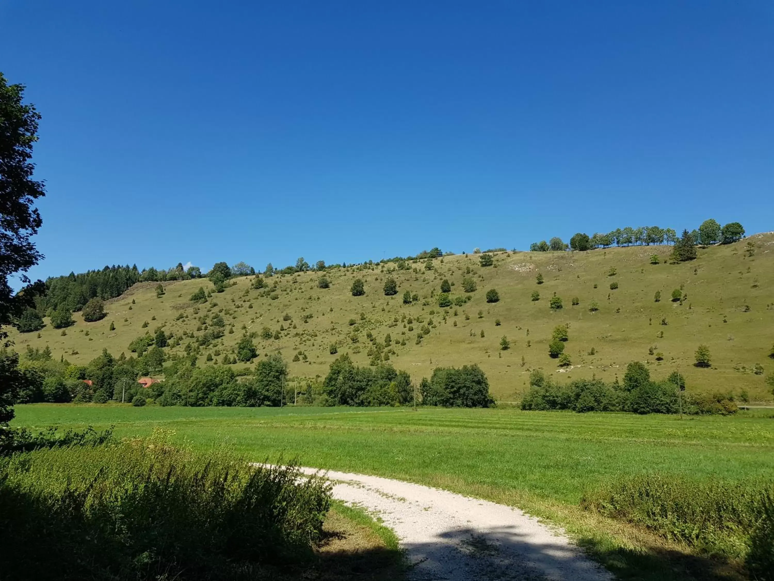 Summer in Hotel Graf Eberhard