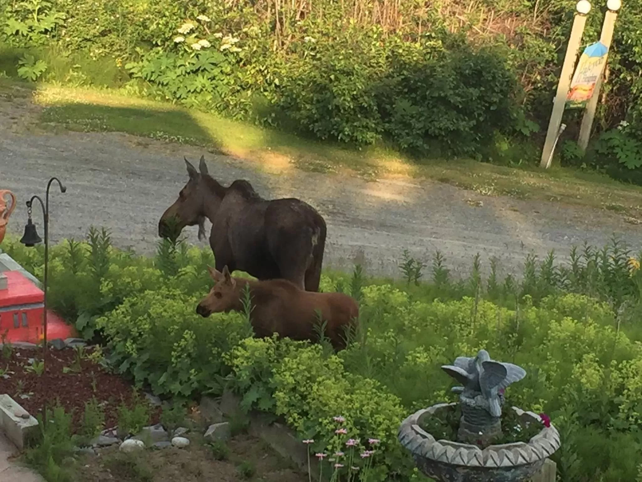 Garden in Halcyon Heights B&B/Inn