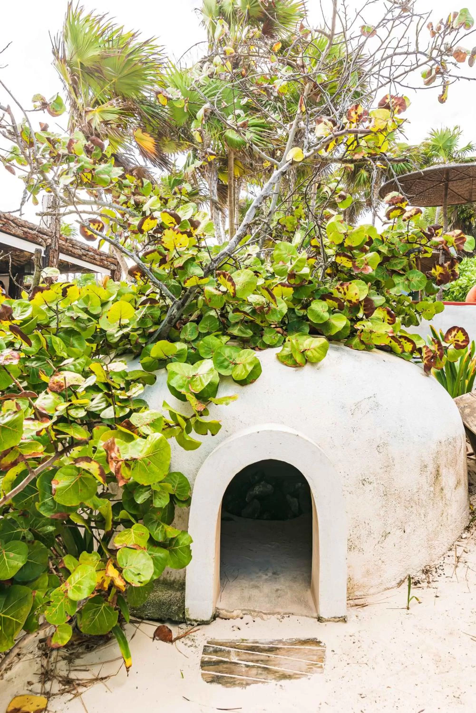 Garden in Casa Phoenix Tulum
