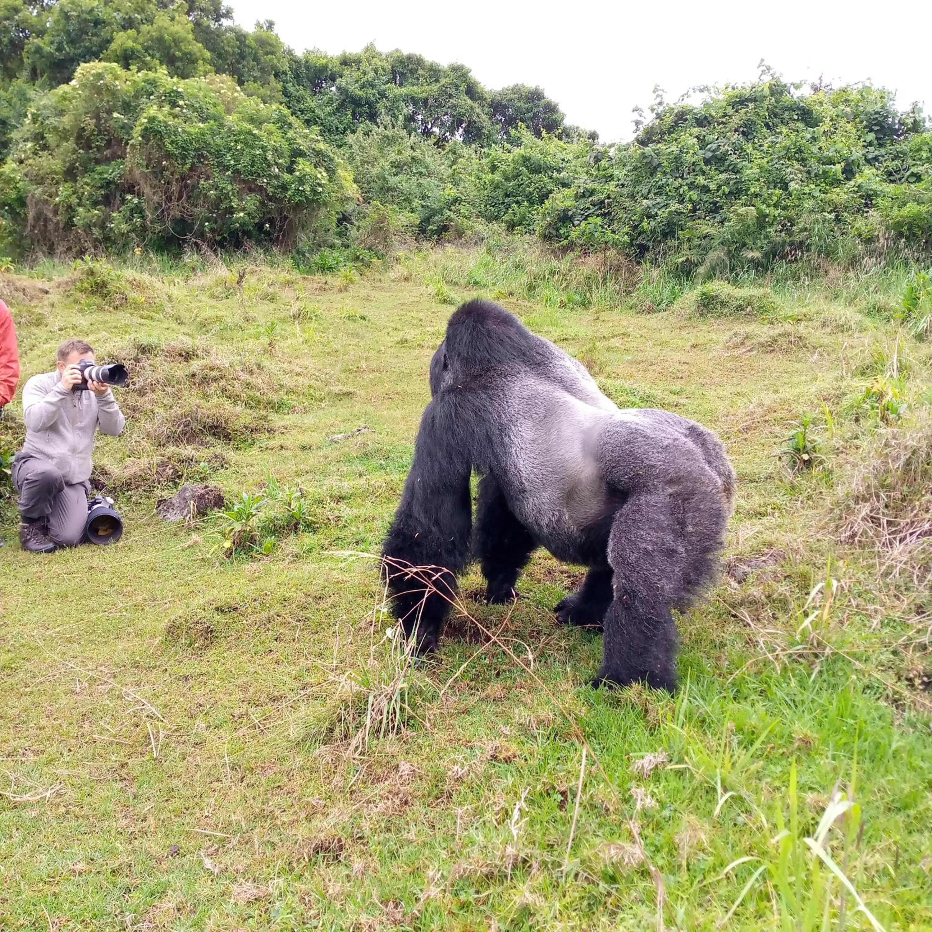 Animals in Santaviva Hotel
