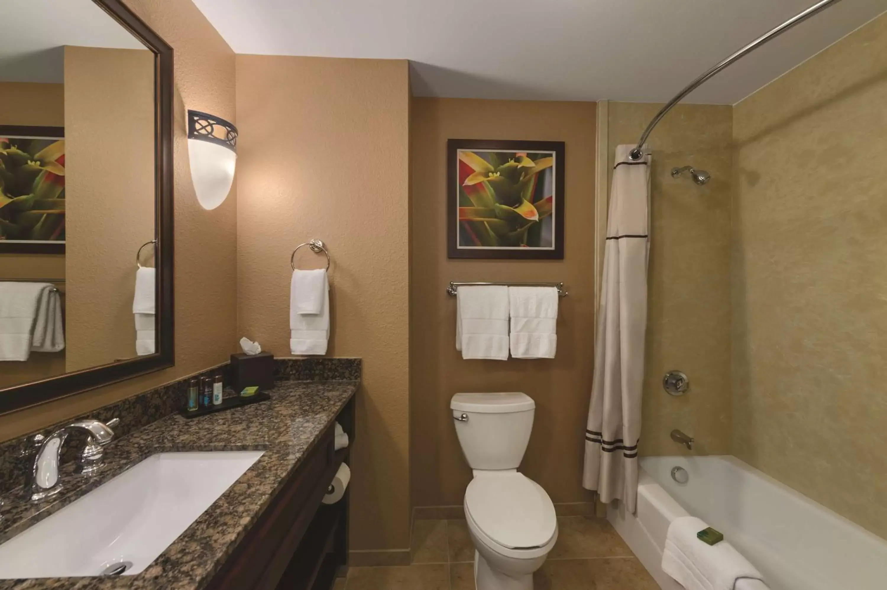 Bathroom in Embassy Suites by Hilton Orlando Lake Buena Vista South
