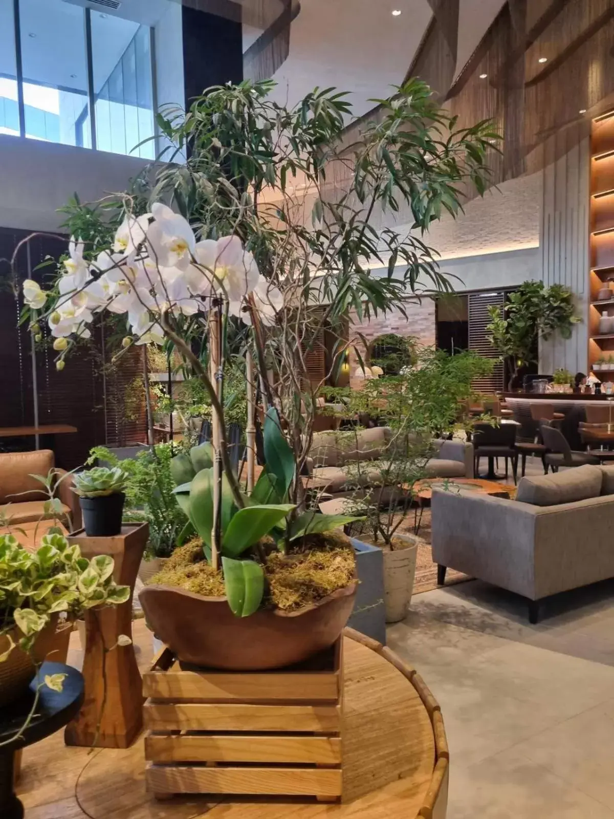 Lobby or reception in Brittany Hotel BGC Lobby or reception in Brittany Hotel BGC