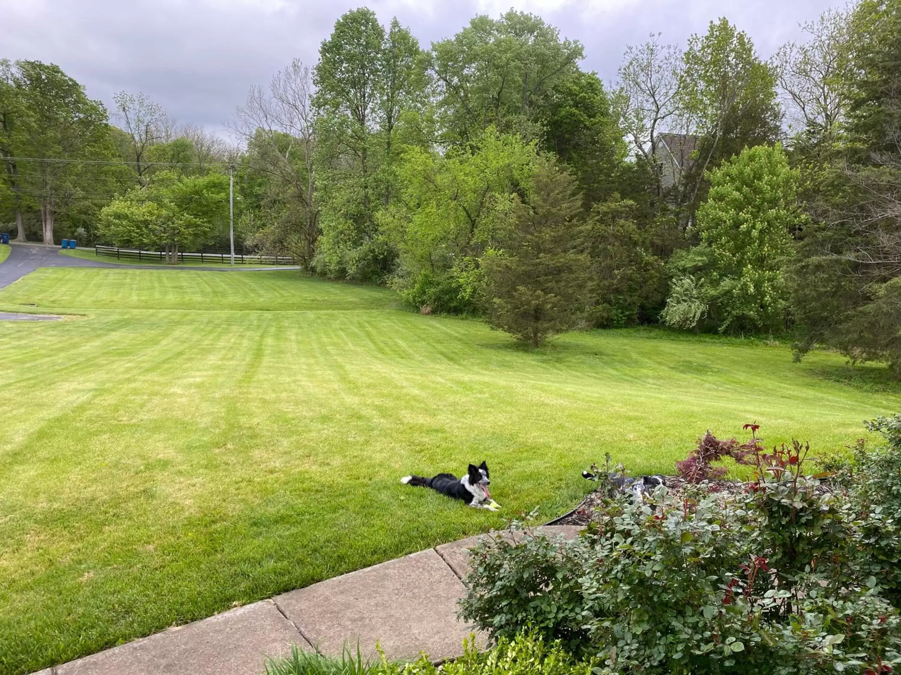 Garden view in Pillow and Paddock B&B