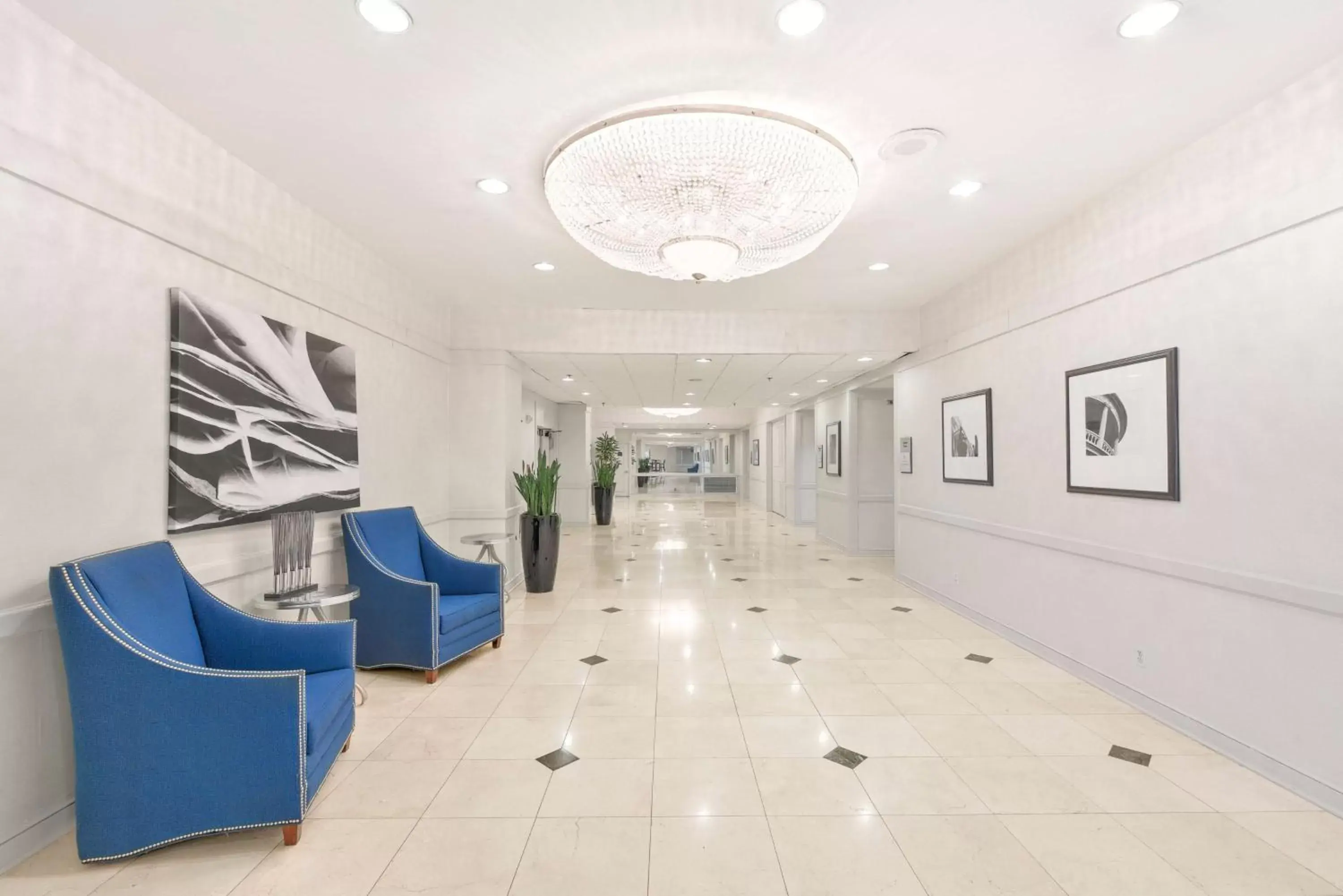 Meeting/conference room, Lobby/Reception in Hilton Arlington National Landing