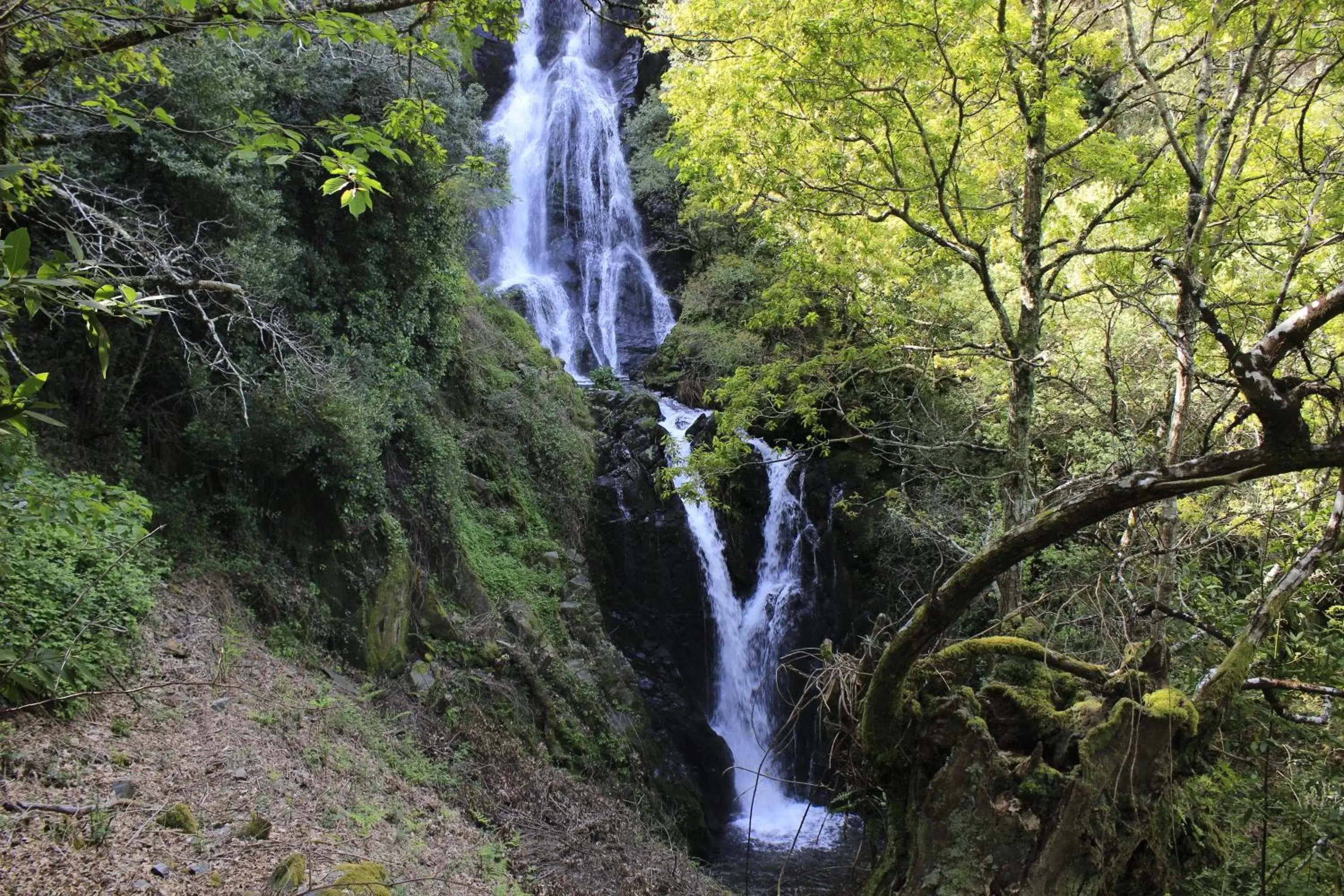 Hiking, Natural Landscape in Residencial Martinho