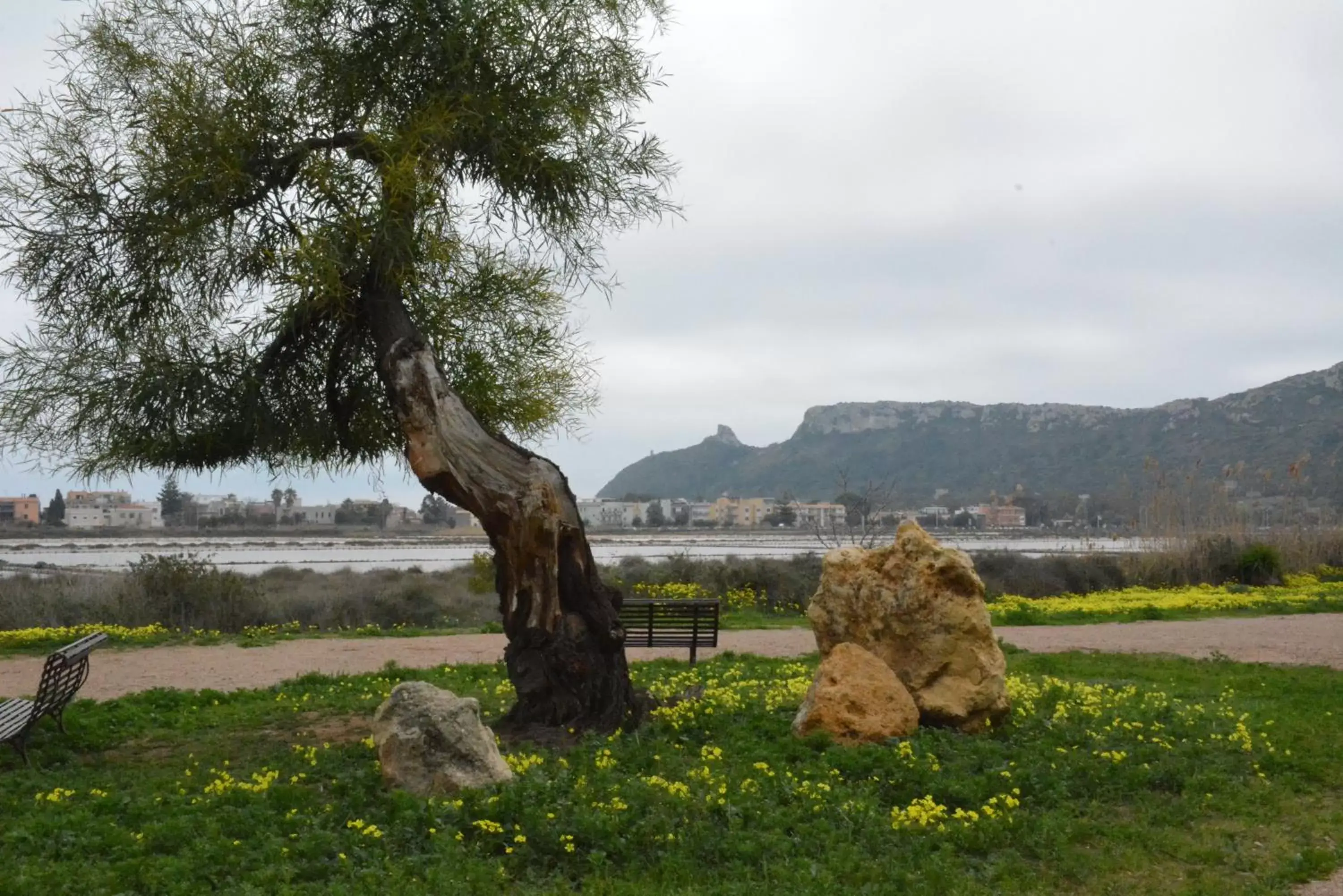 Neighbourhood in Giardini e Mare