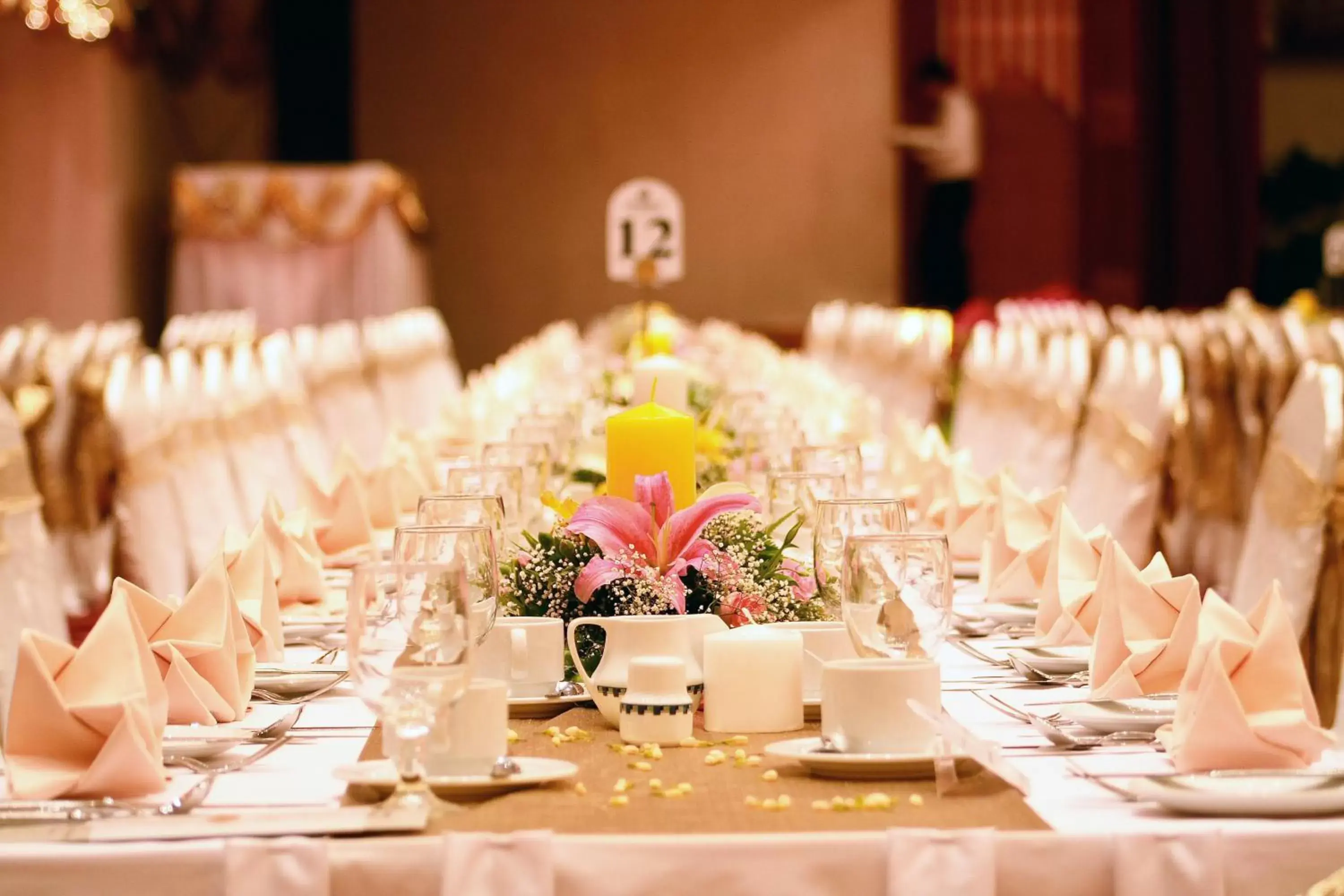 Banquet/Function facilities, Banquet Facilities in The Magellan Sutera Resort