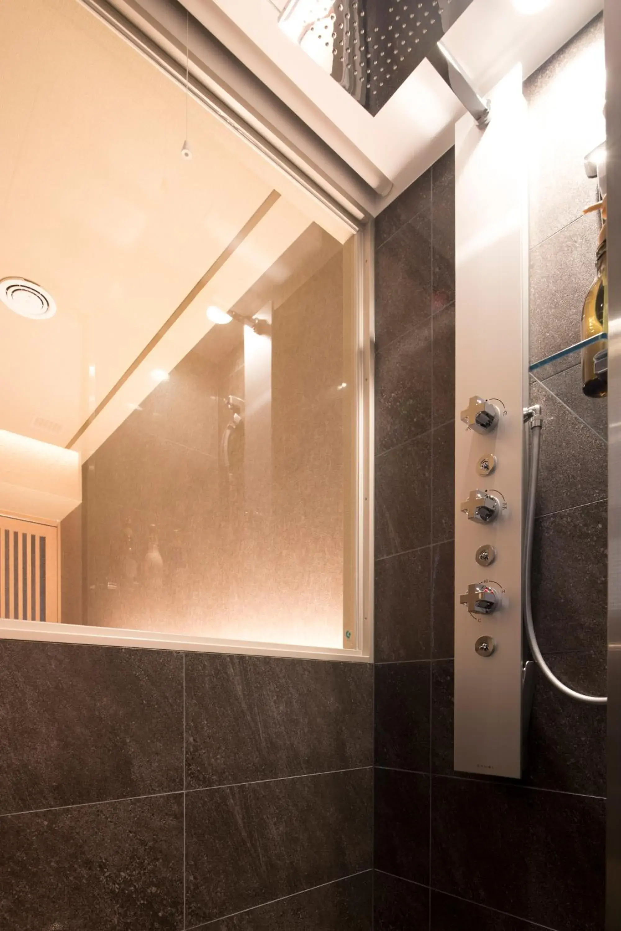 Shower, Bathroom in Piazza Hotel Nara
