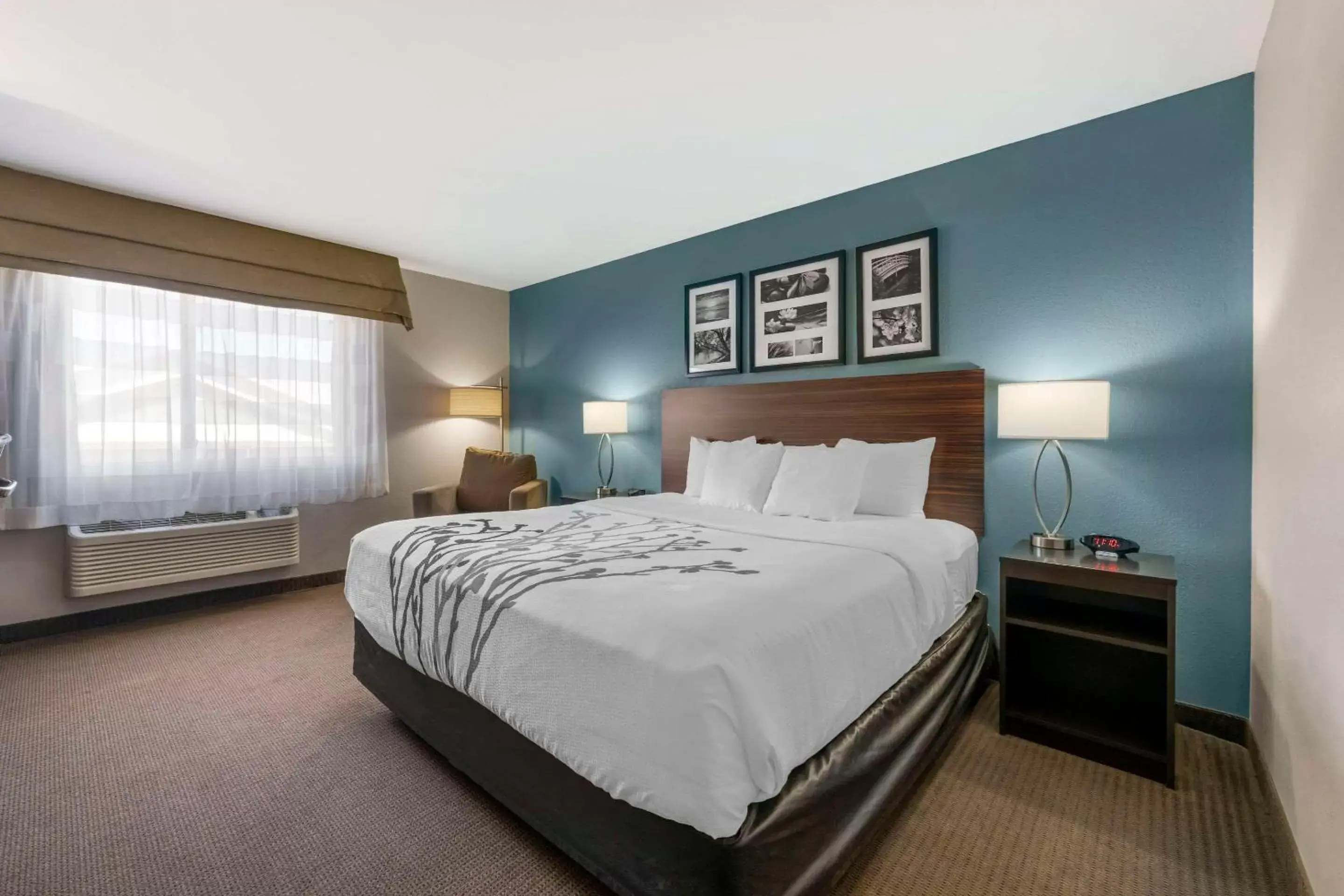 Bedroom, Bed in Sleep Inn & Suites Hays I-70