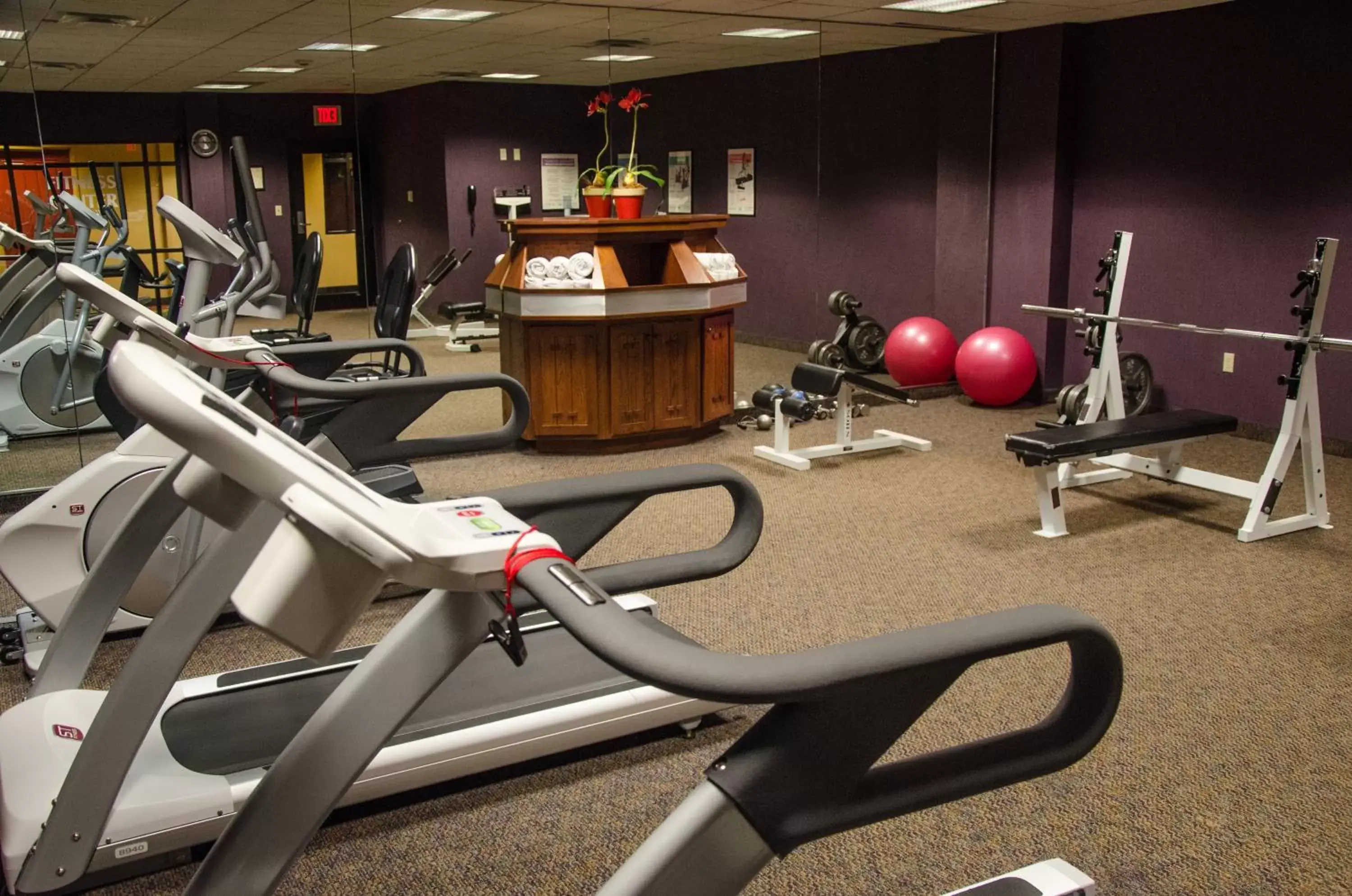 Spa and wellness centre/facilities, Fitness Center/Facilities in Holiday Inn Hotel Pewaukee-Milwaukee West, an IHG Hotel