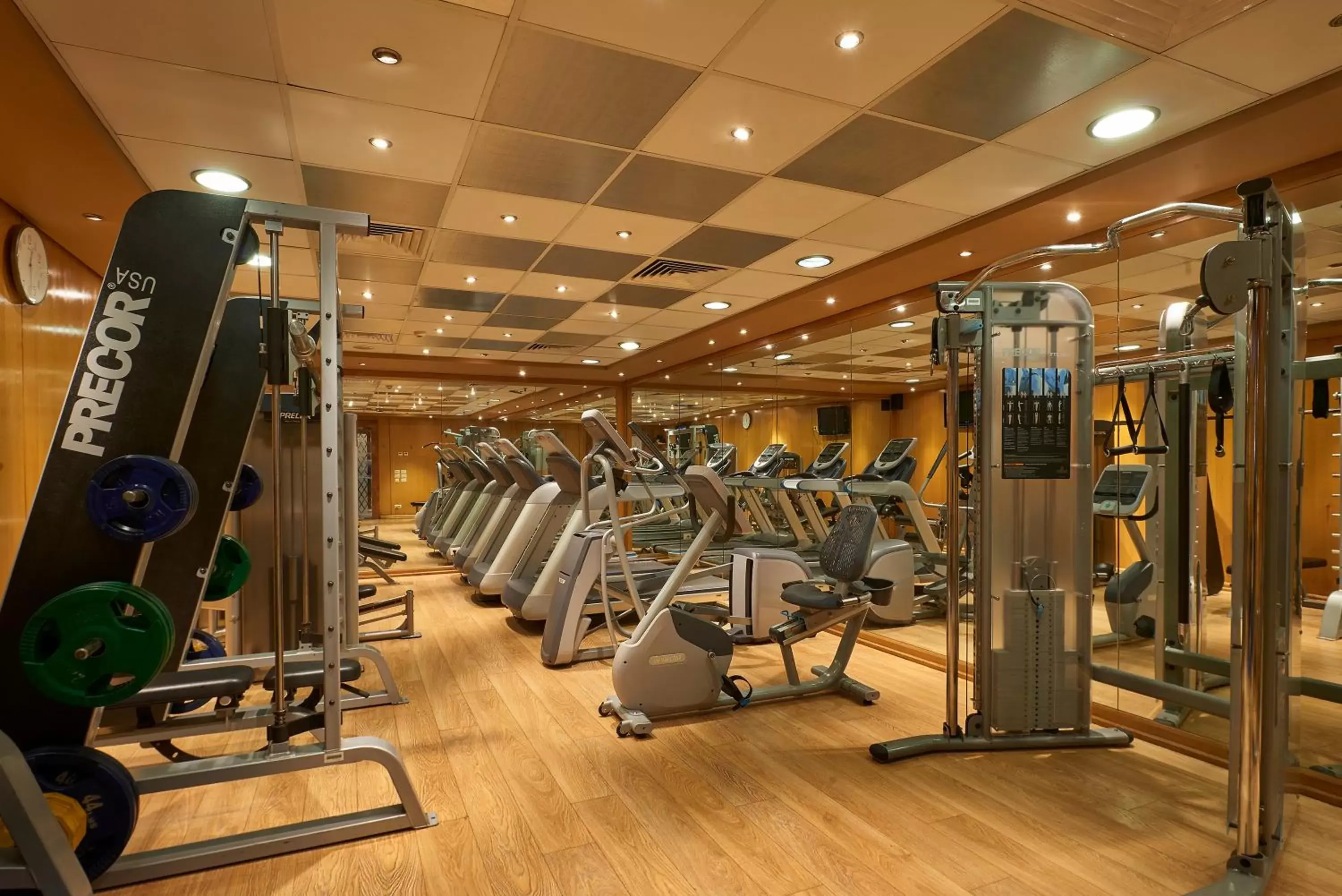 Fitness centre/facilities, Fitness Center/Facilities in Safir Hotel Cairo