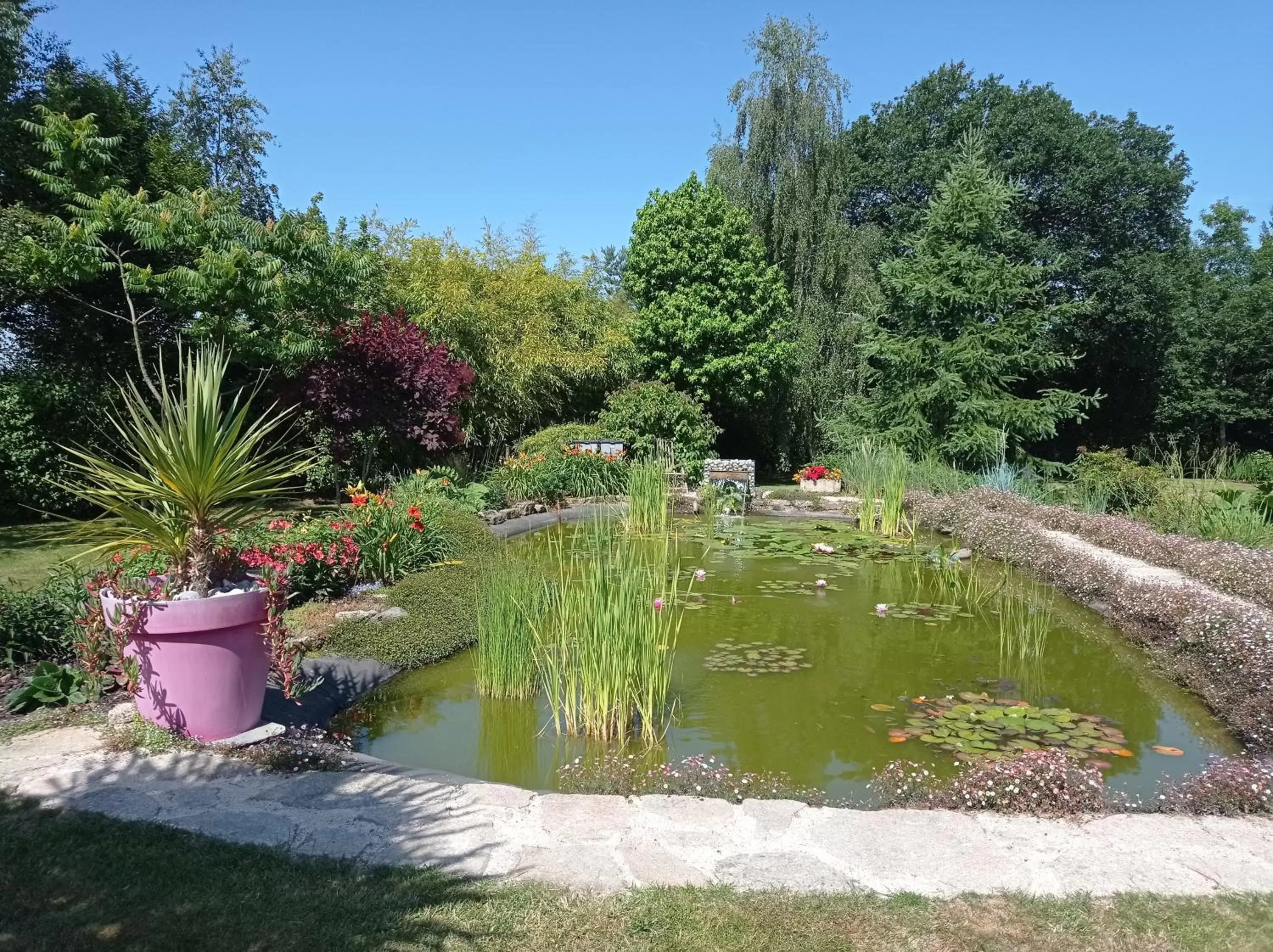 Garden in chambre chez l habitant