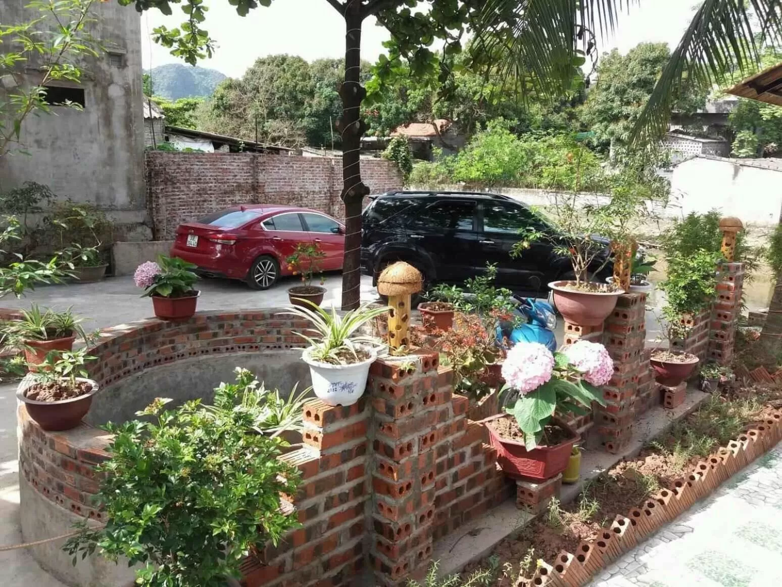 Day in Tam Coc Vinh Thinh Homestay