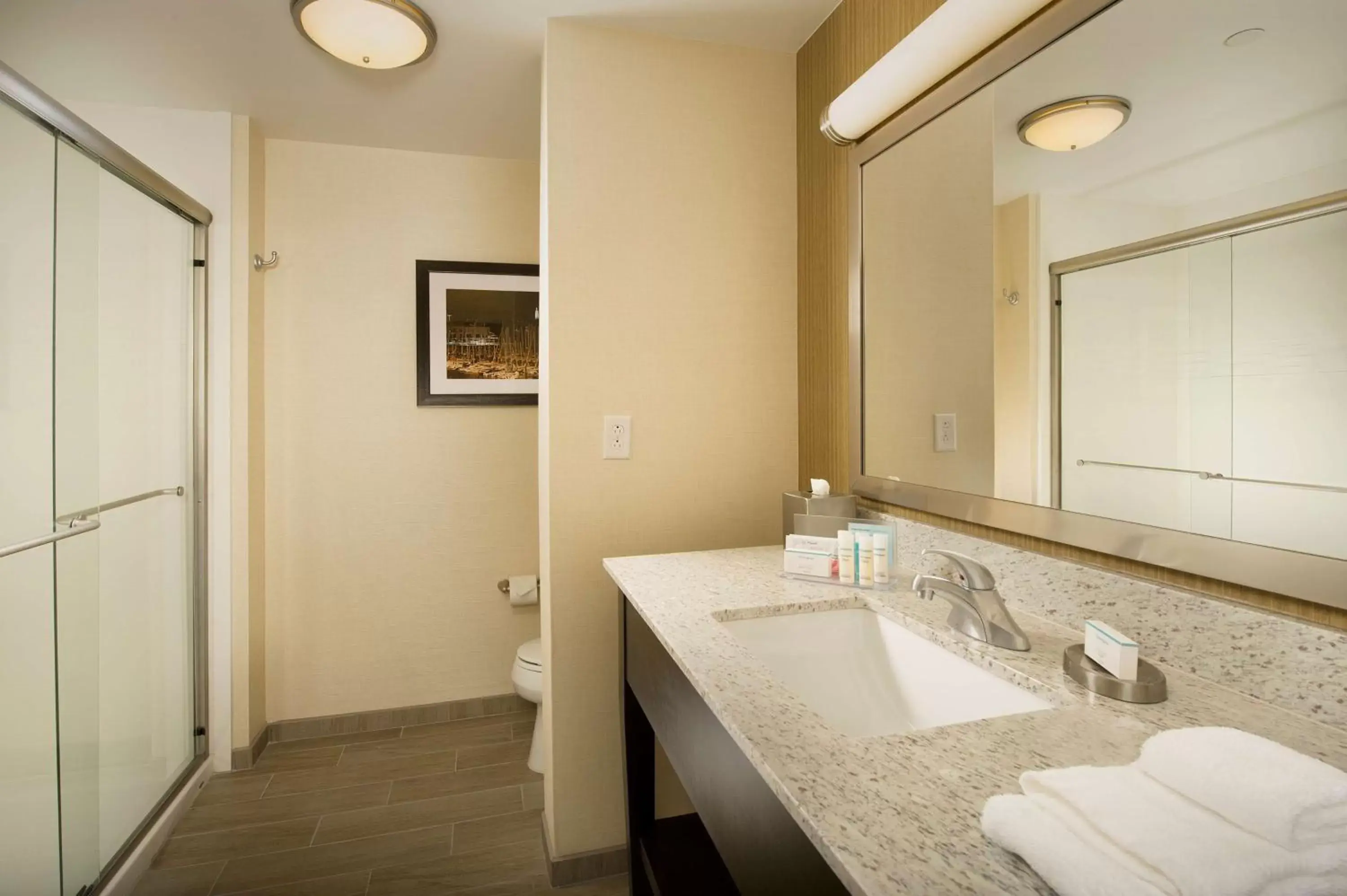 Bathroom in Hampton Inn & Suites Baltimore/Woodlawn