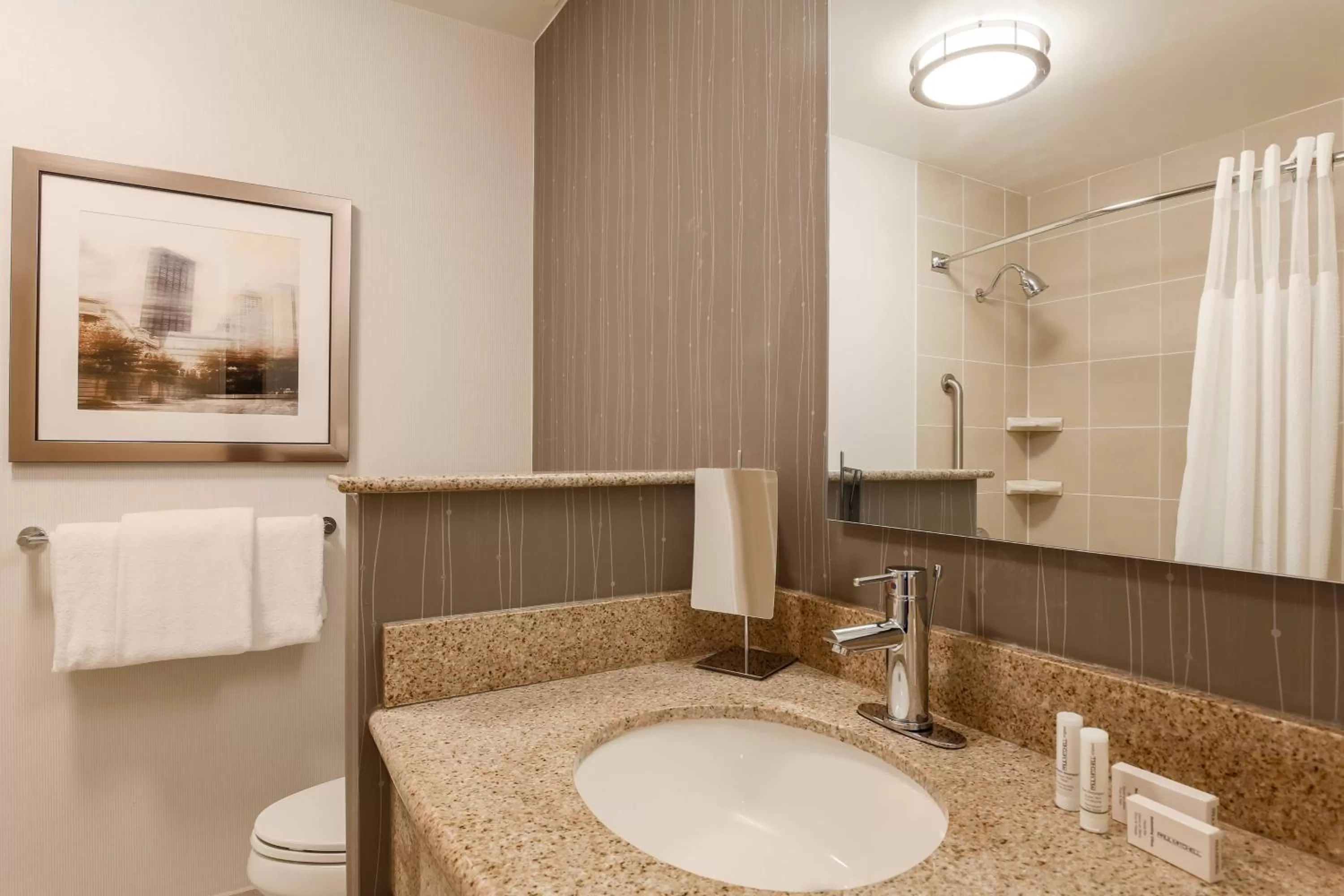 Bathroom in Courtyard by Marriott Pittsburgh Downtown