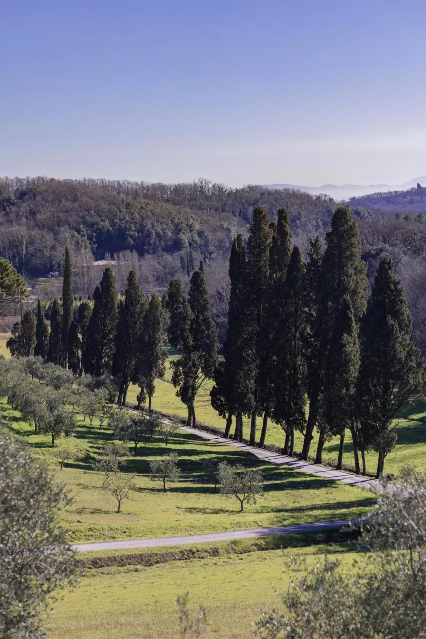 Natural landscape in Rivo della Corte