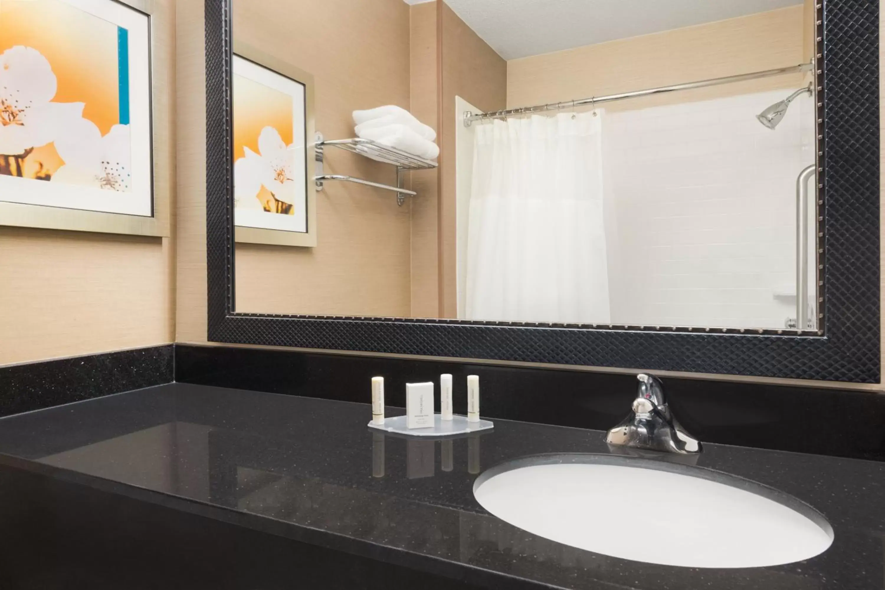 Shower, Bathroom in Amerivu Inn and Suites