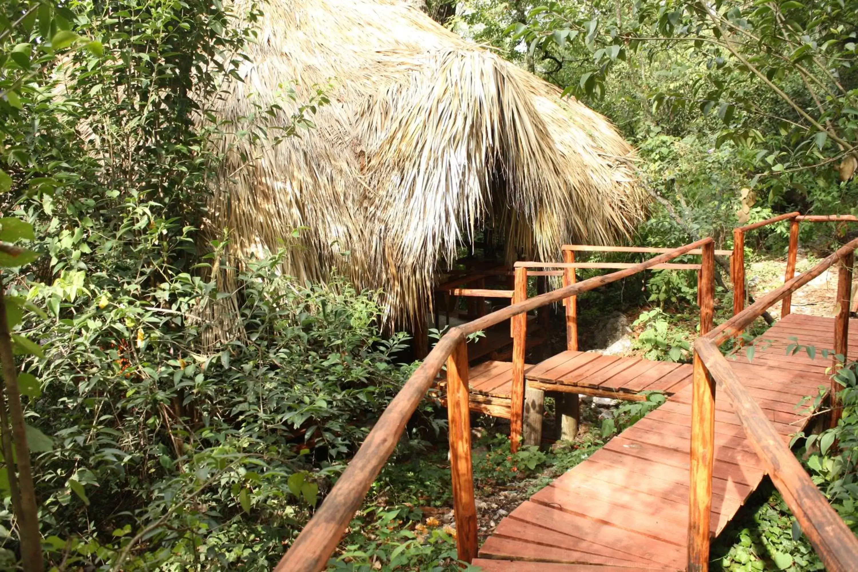 Garden view in Hotel Chipinque Garden view in Hotel Chipinque