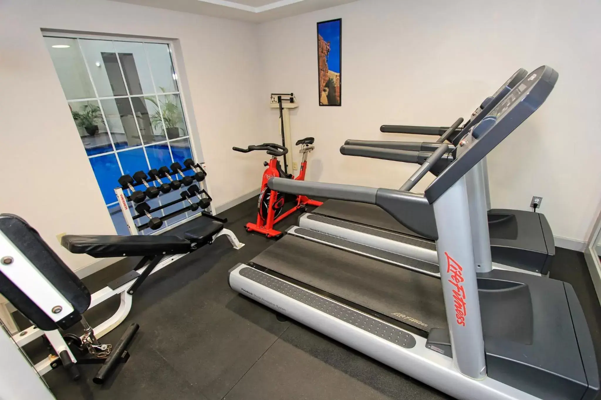 Fitness centre/facilities, Fitness Center/Facilities in Holiday Inn Leon-Convention Center, an IHG Hotel
