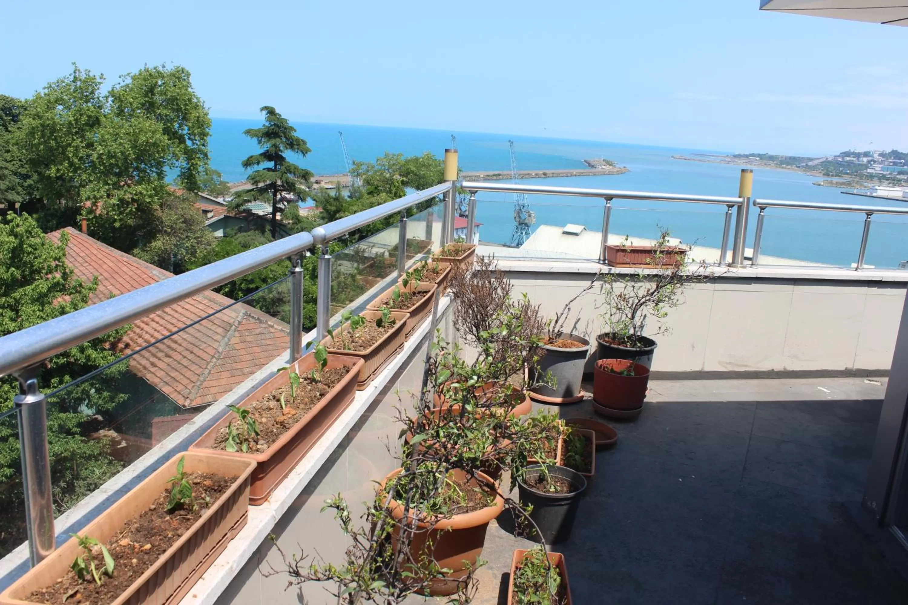 Garden view, Balcony/Terrace in GanitaLife Otel