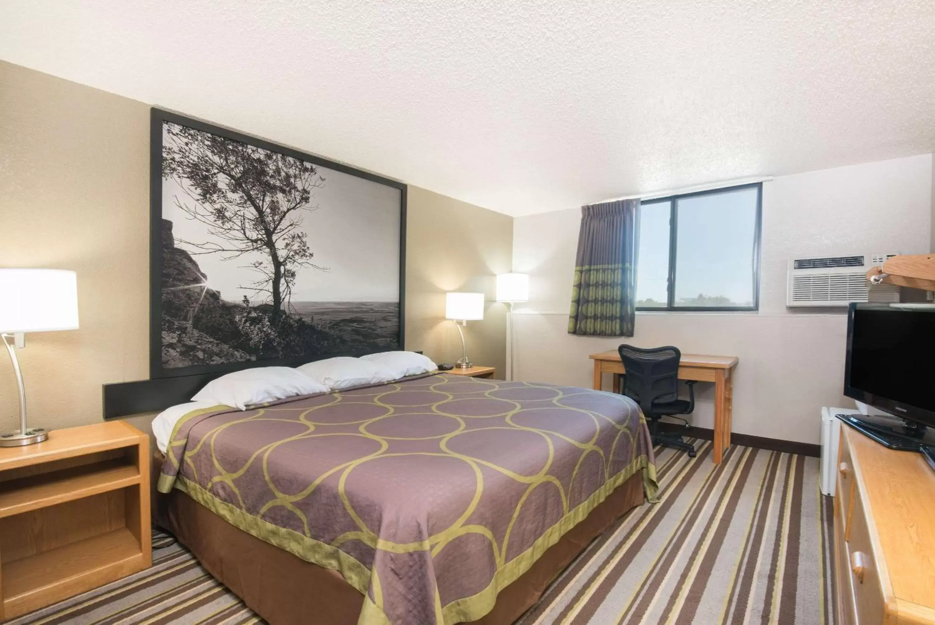 Photo of the whole room, Bed in Super 8 by Wyndham Jamestown