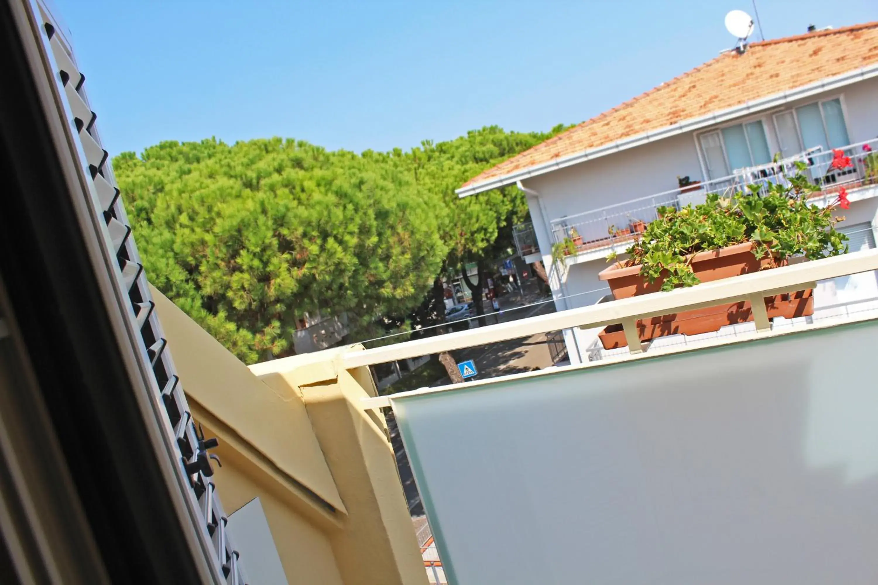 Balcony/Terrace in Hotel Royal