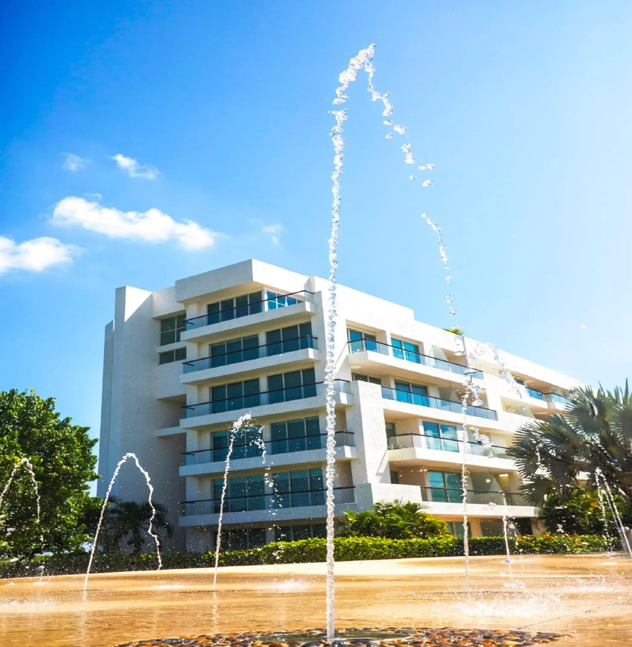 Area and facilities, Property Building in Estelar Playa Manzanillo - All inclusive