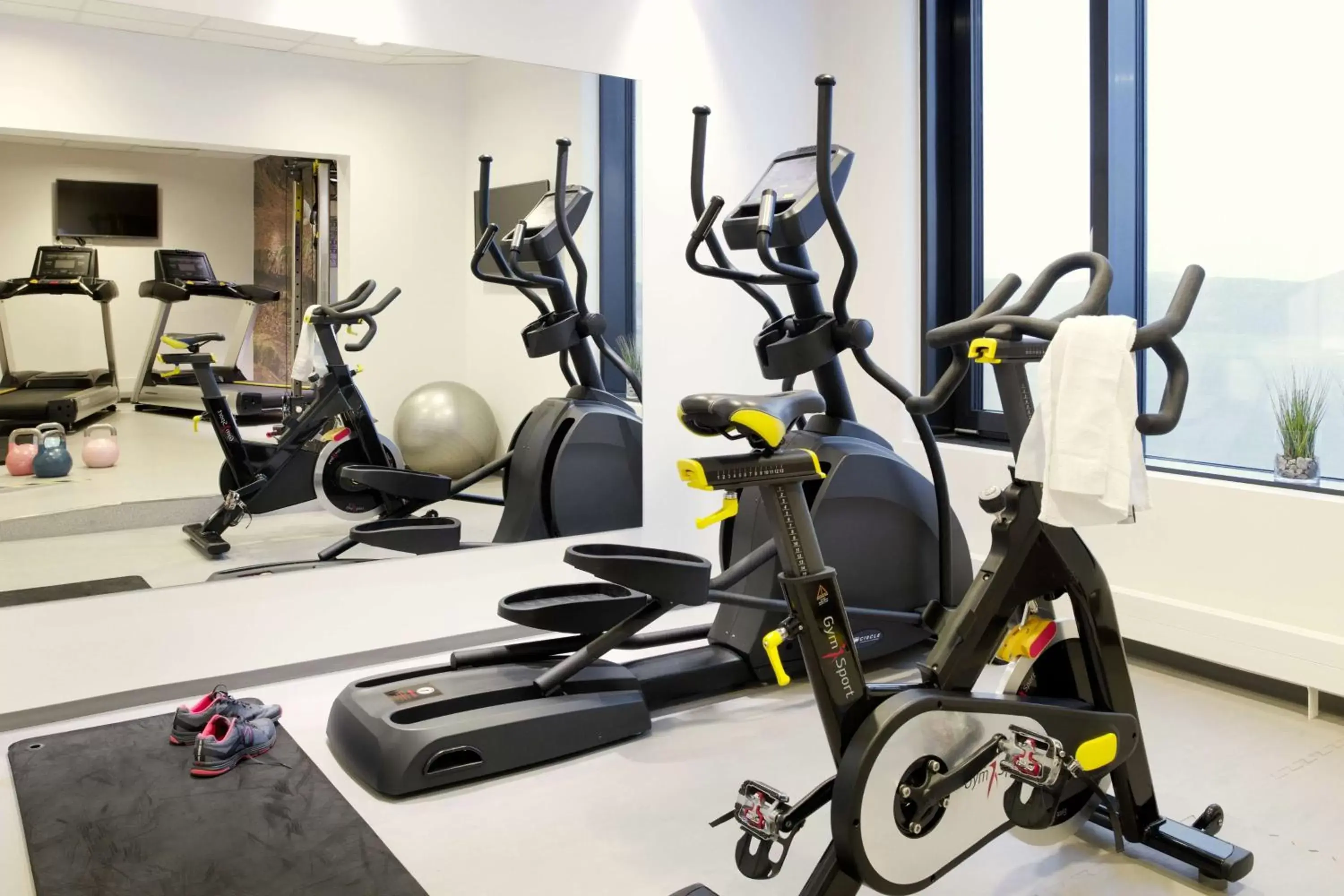 Fitness centre/facilities, Fitness Center/Facilities in Scandic Havet