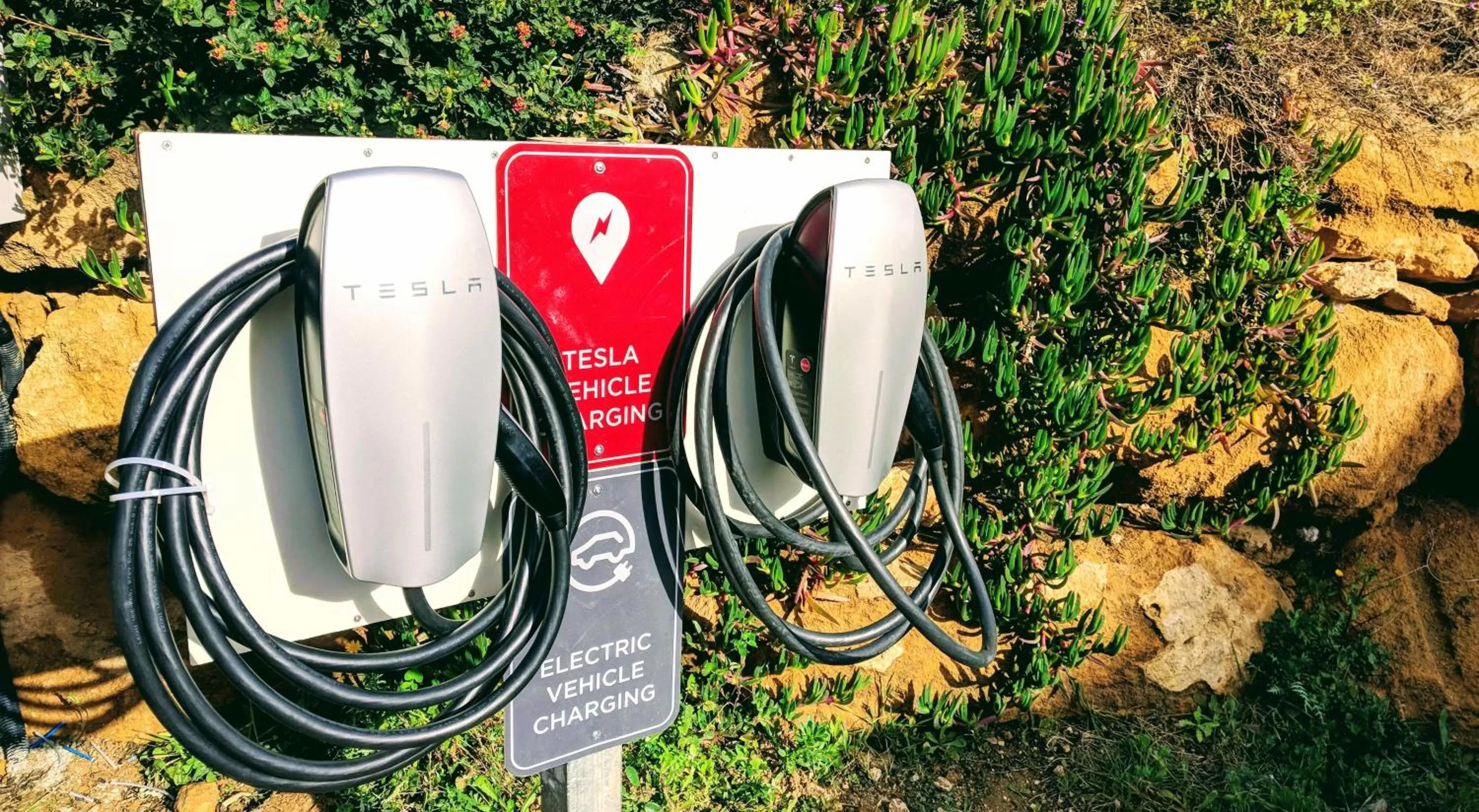 Area and facilities in Il Marchese Hotel & Spa